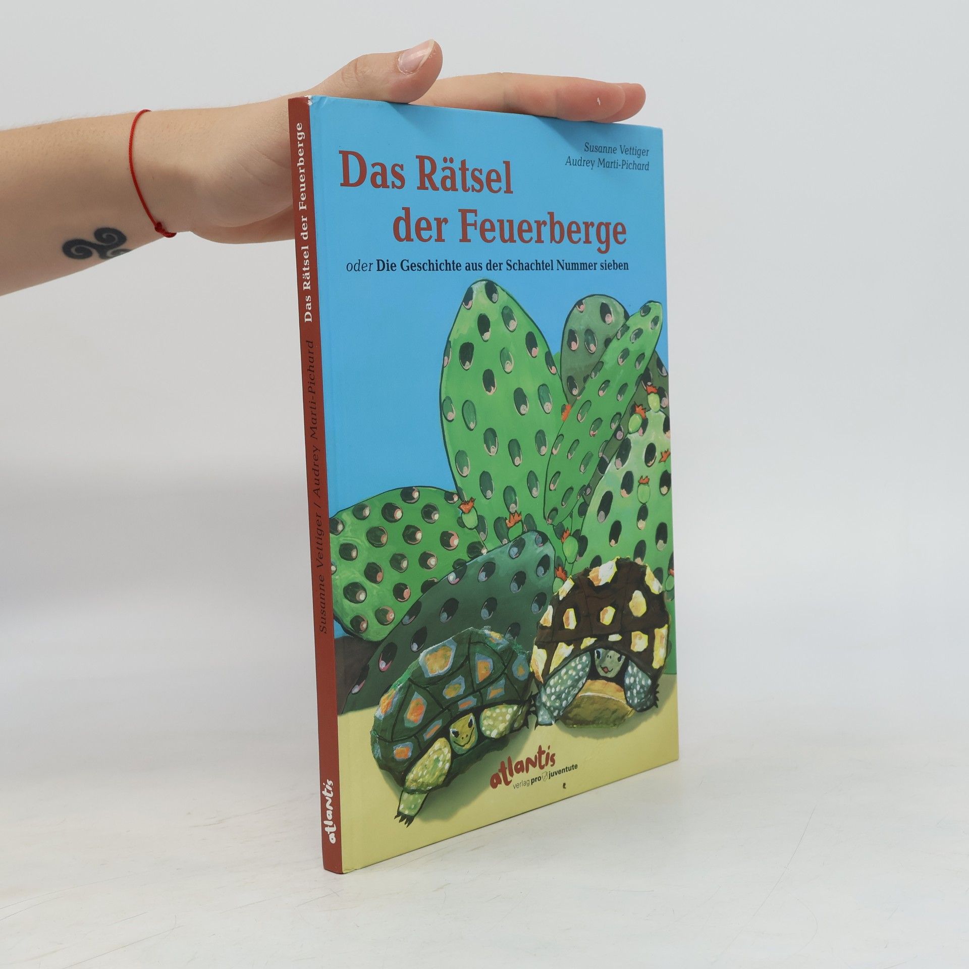Audrey Marti-Pichard Das Rätsel der Feuerberge. Oder das Rätsel aus der Schachtel Nummer 7