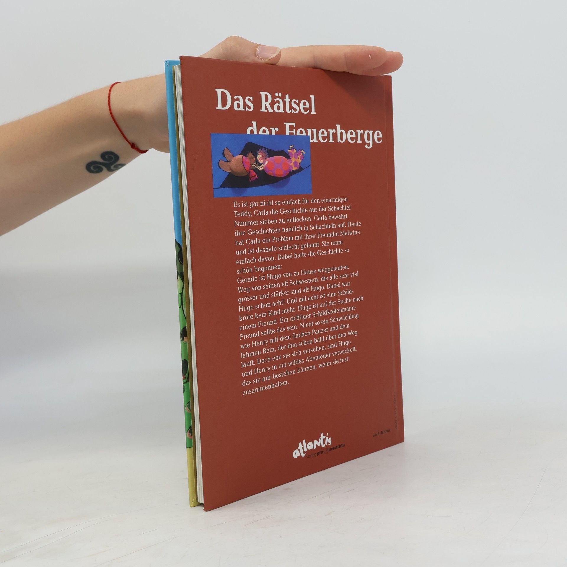 Susanne Vettiger Das Rätsel der Feuerberge. Oder das Rätsel aus der Schachtel Nummer 7