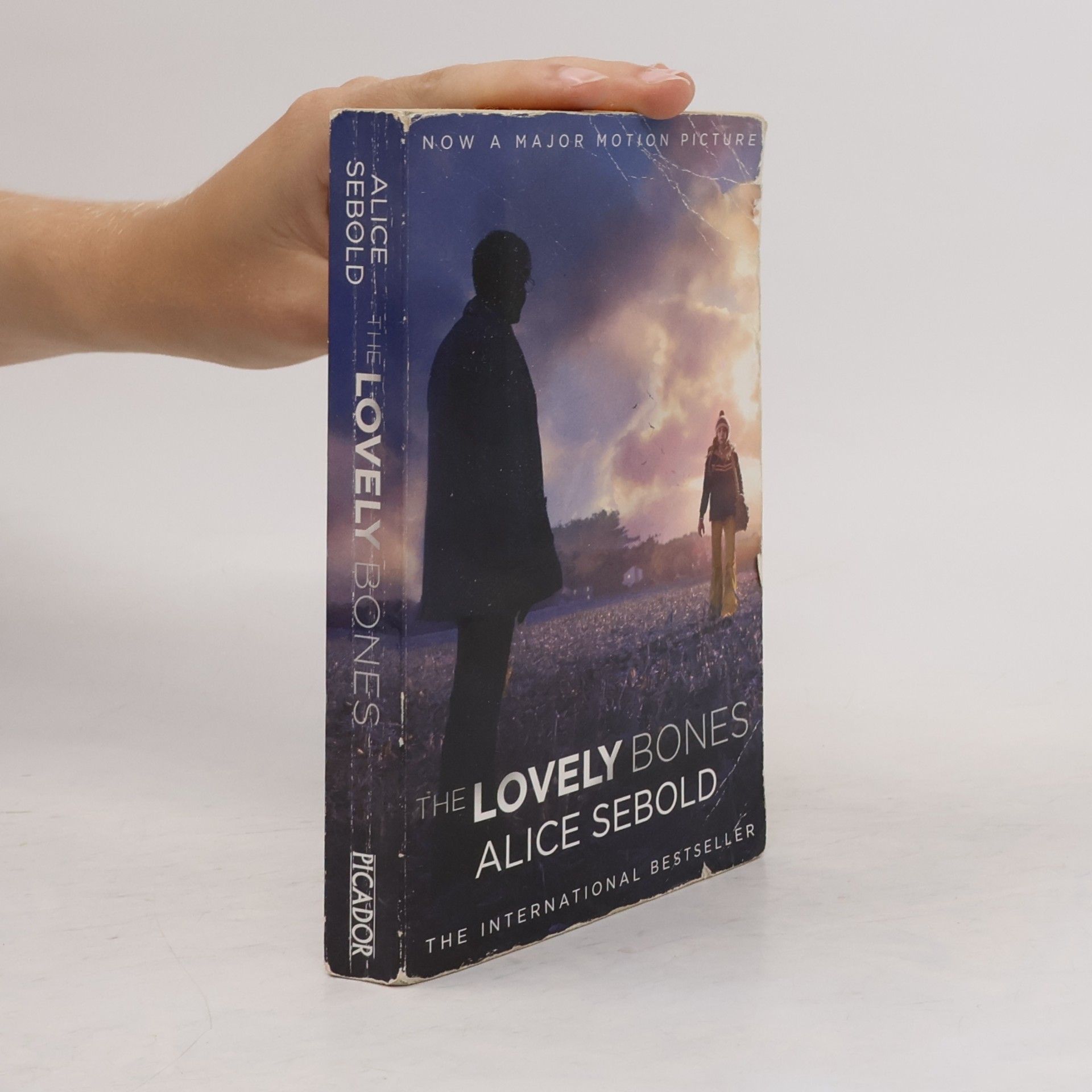 Alice Sebold The Lovely Bones