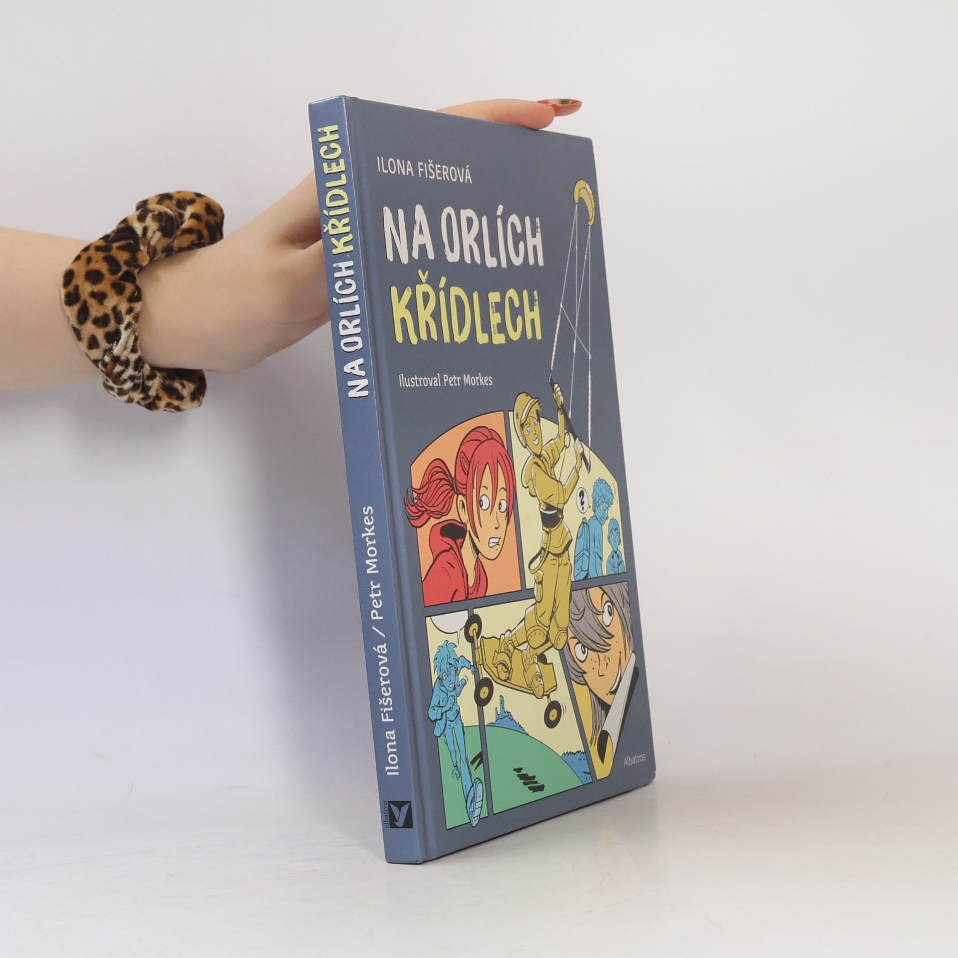 Ilona Fišerová Na orlích křídlech