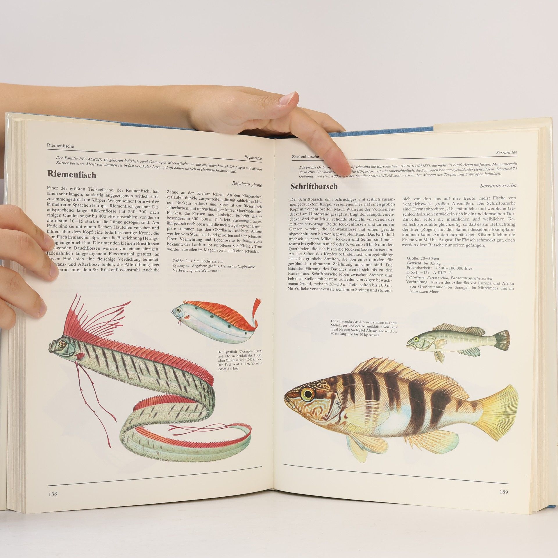 Karel Pivnička Dausien's grosses Buch der Fische