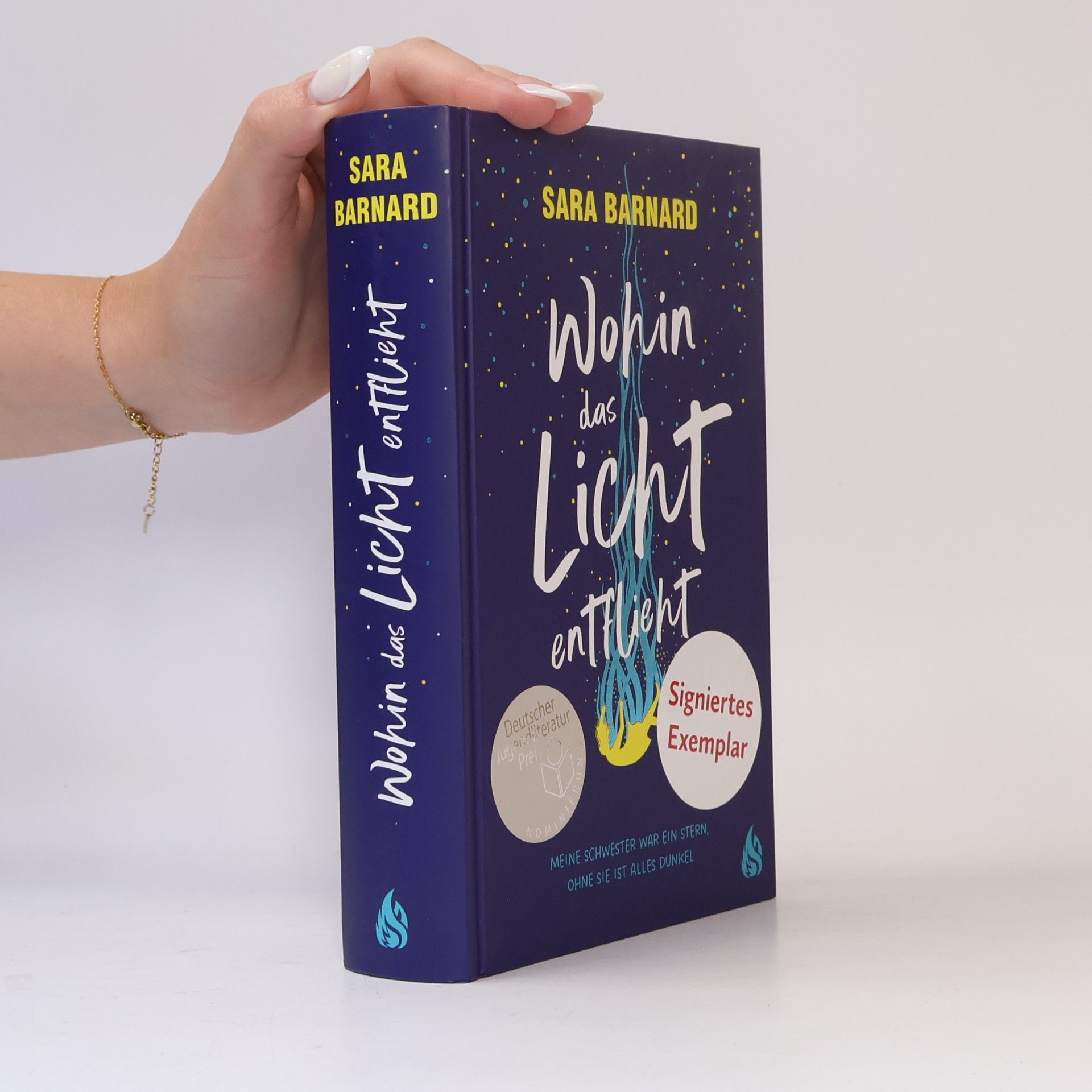 Sara Barnard Wohin das Licht entflieht