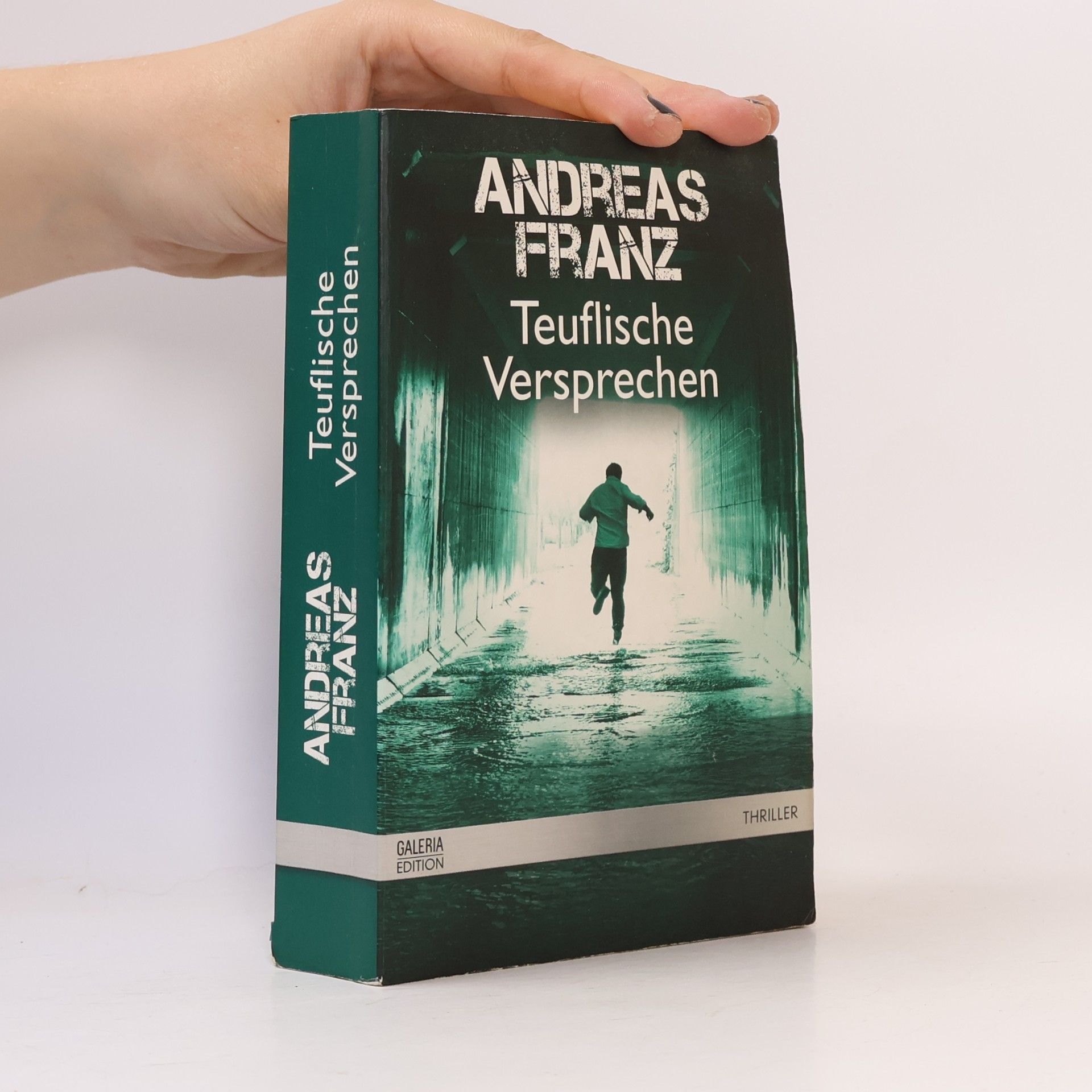 Andreas Franz Teuflische Versprechen