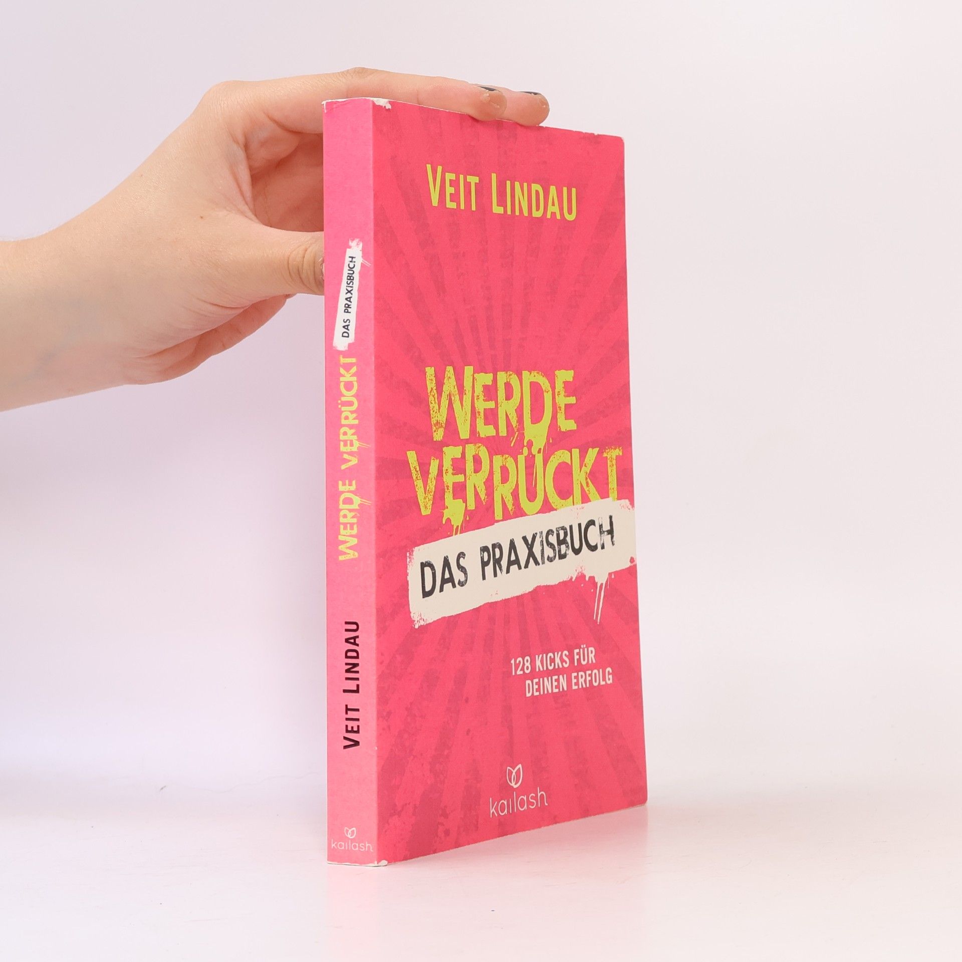 Veit Lindau Werde verrückt – Das Praxisbuch: 128 Kicks für deinen Erfolg