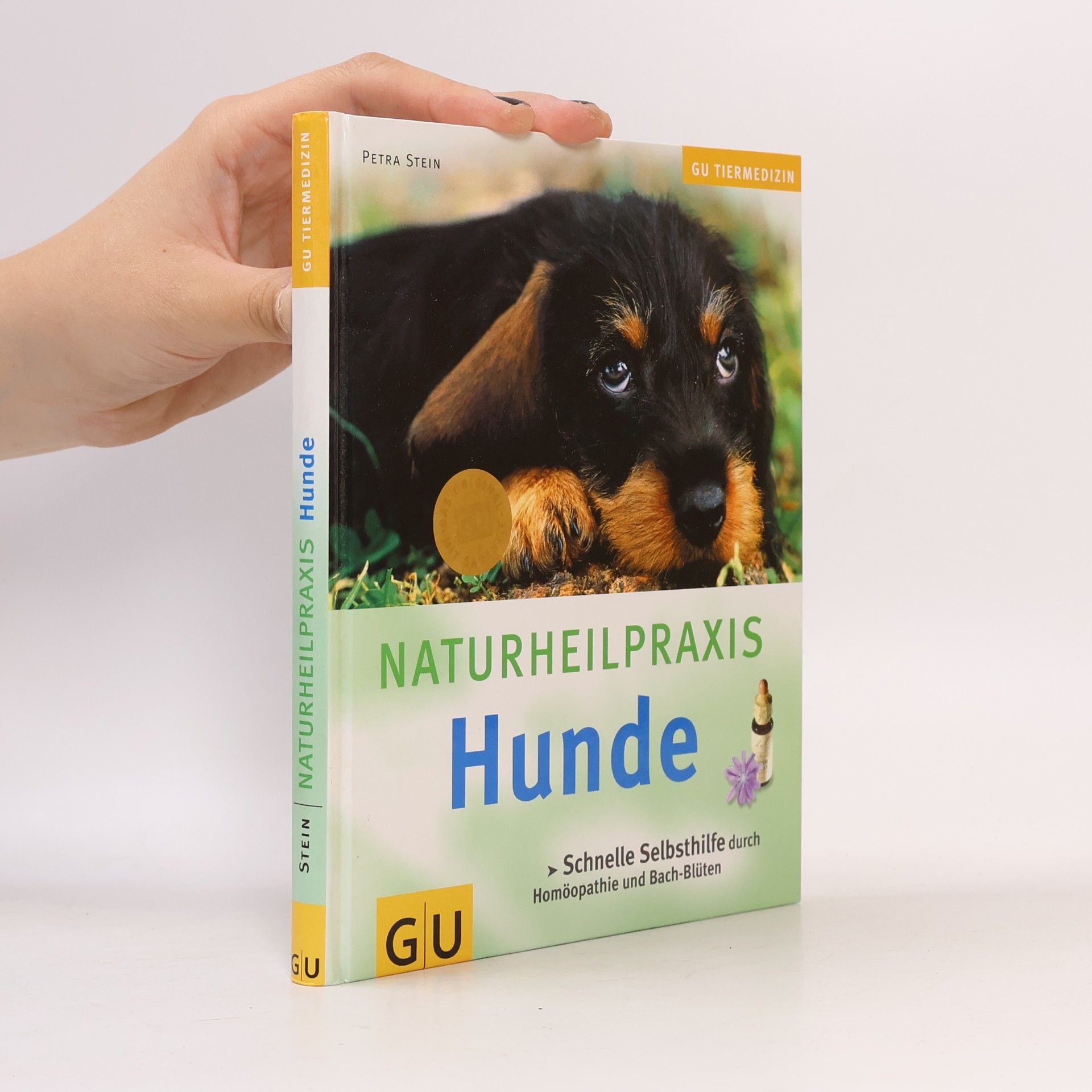 Petra Stein NaturheilPraxis Hunde