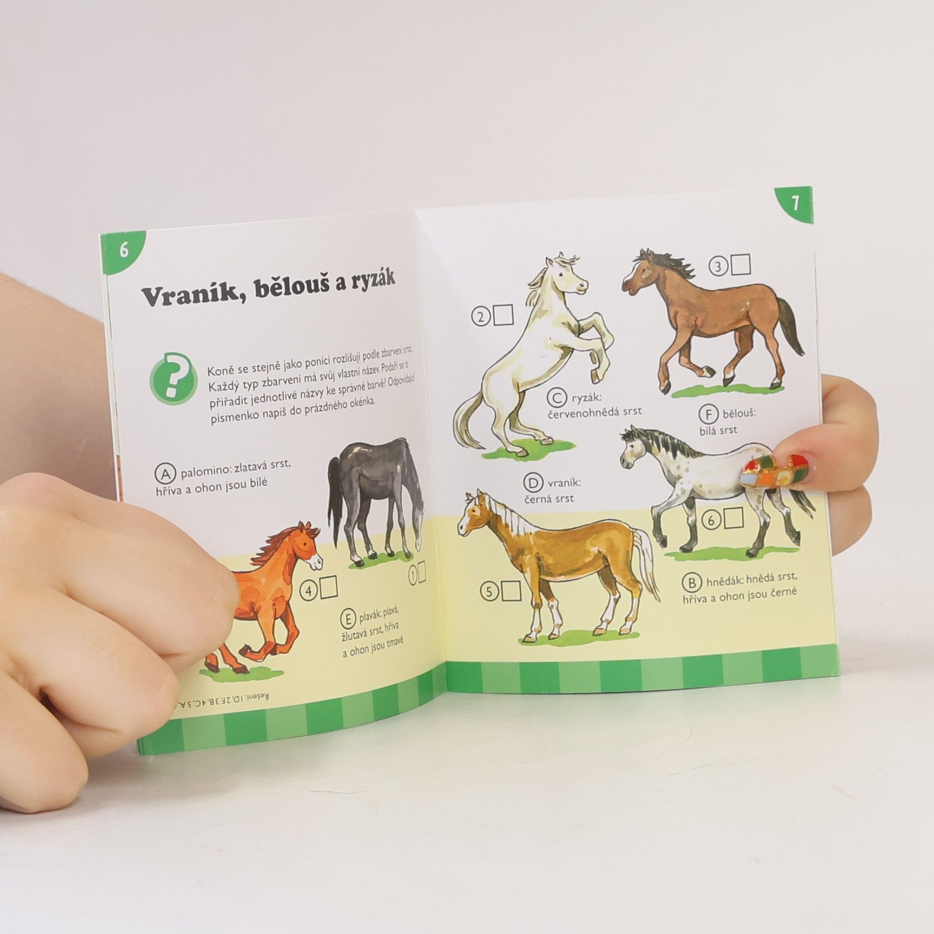 Various authors Koně a poníci. Vědomosti v kostce