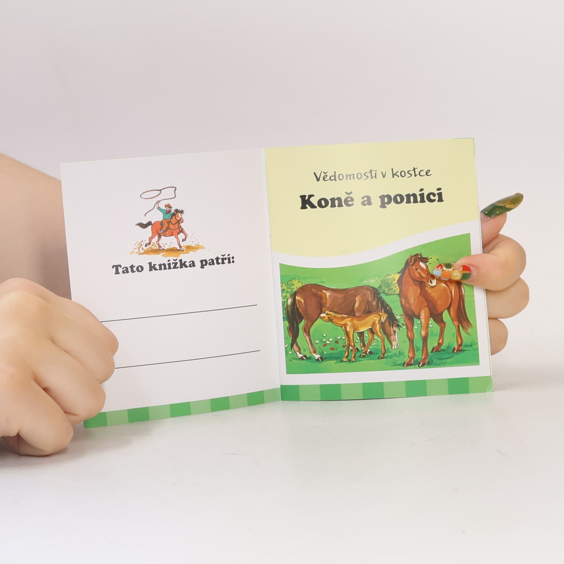 Various authors Koně a poníci. Vědomosti v kostce