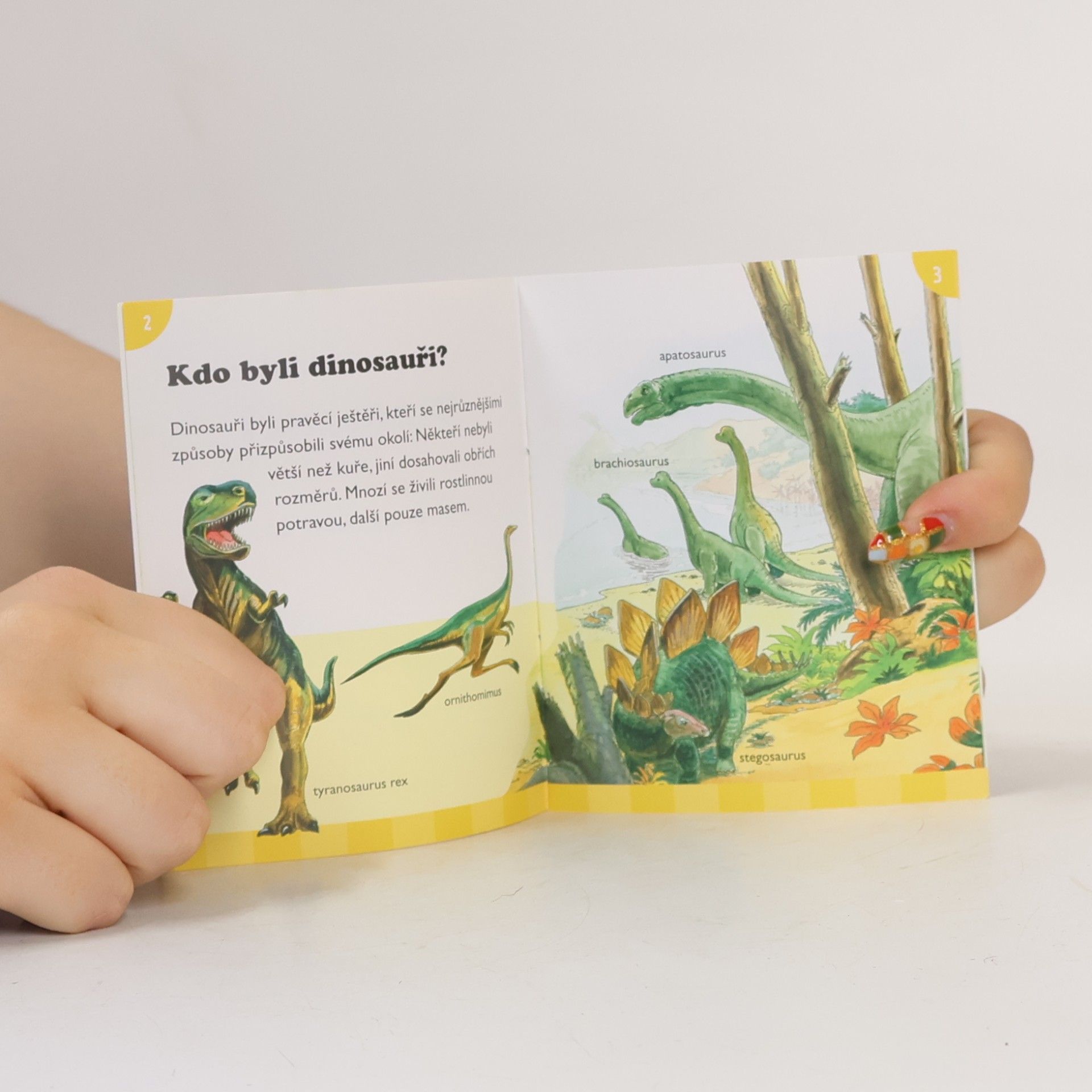 Lisa Maurer Vědomosti v kostce. Dinosauři