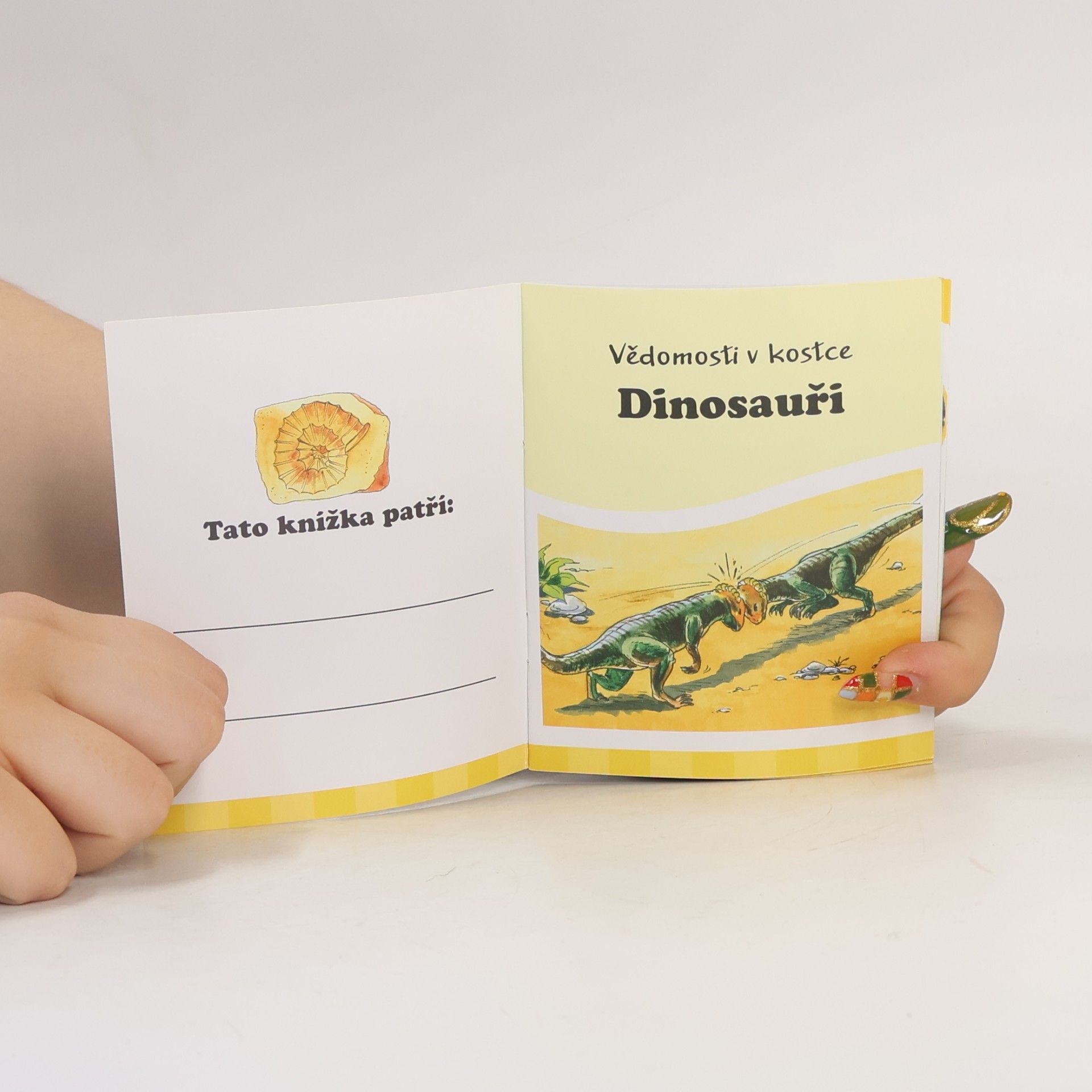 Lisa Maurer Vědomosti v kostce. Dinosauři
