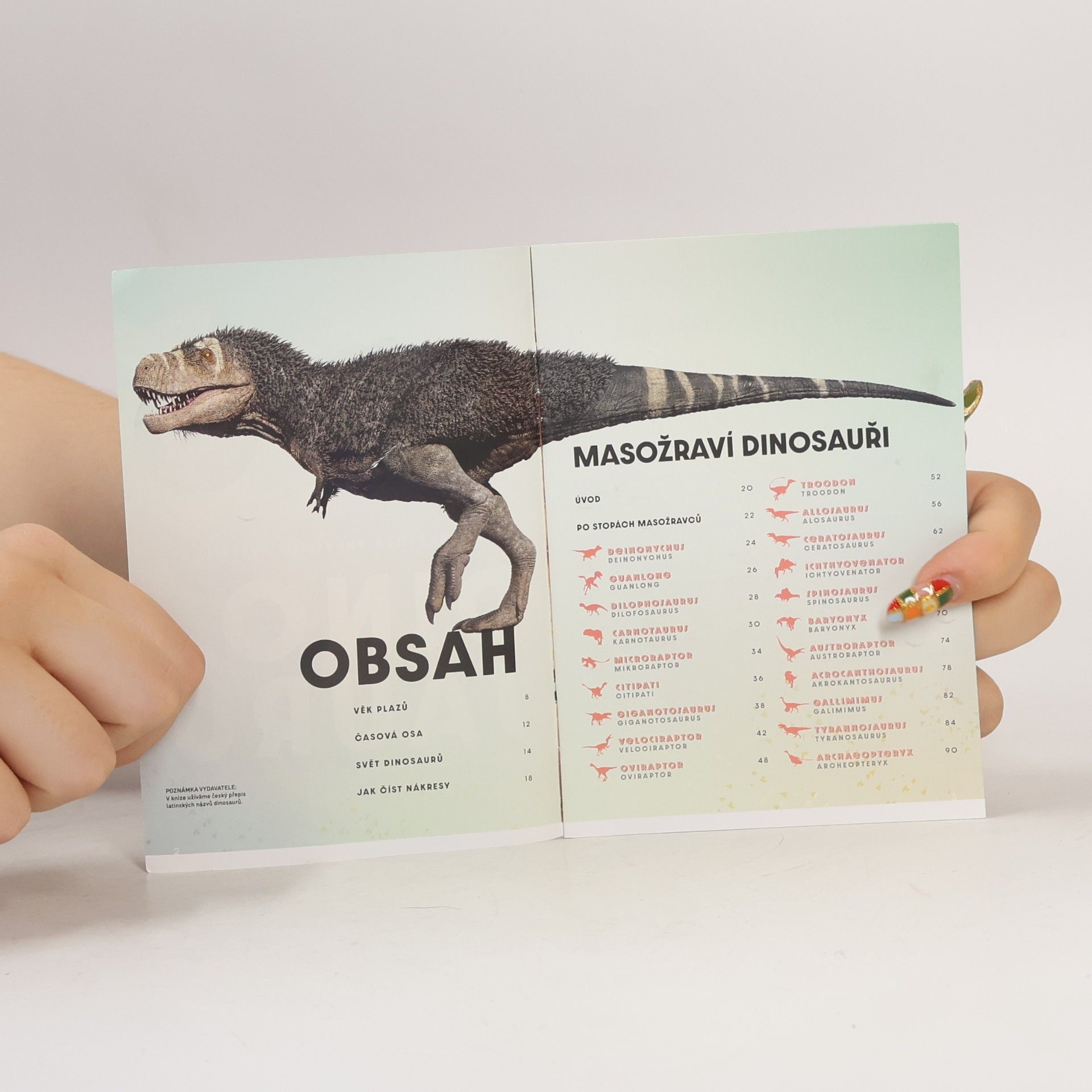 Kolektiv autorů Velký obrazový průvodce světem dinosaurů