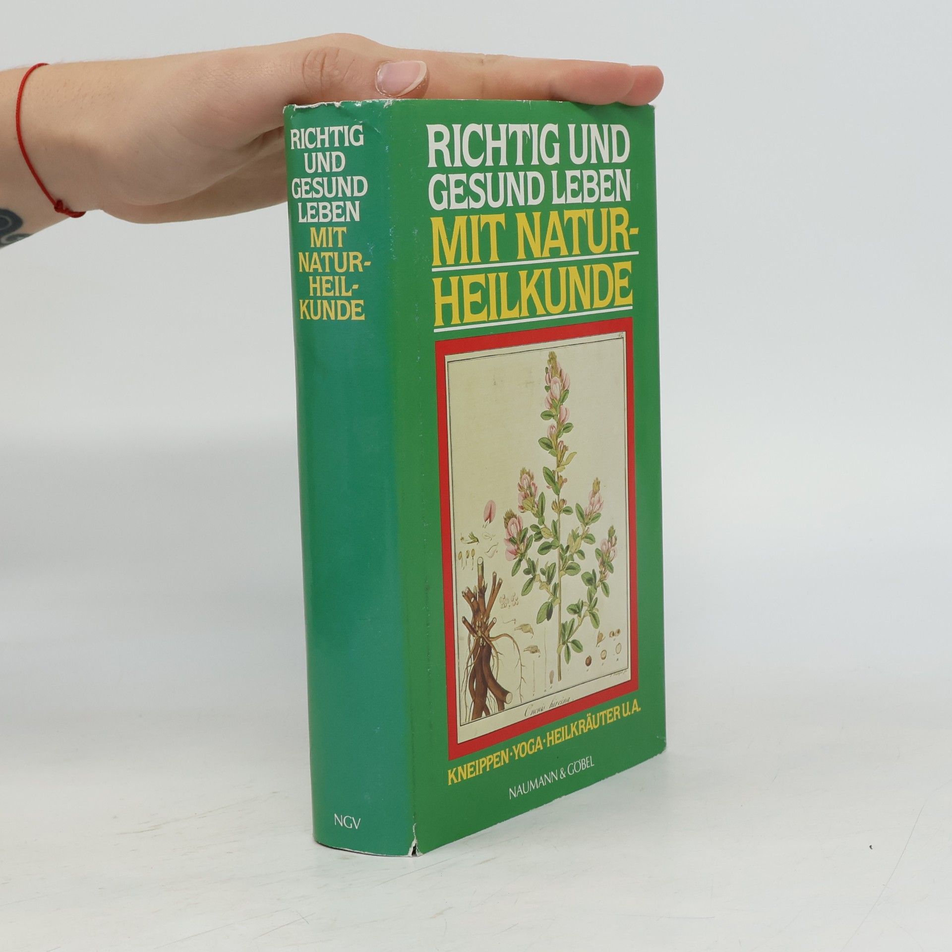 Autores varios Richtig und gesund leben mit Naturheilkunde