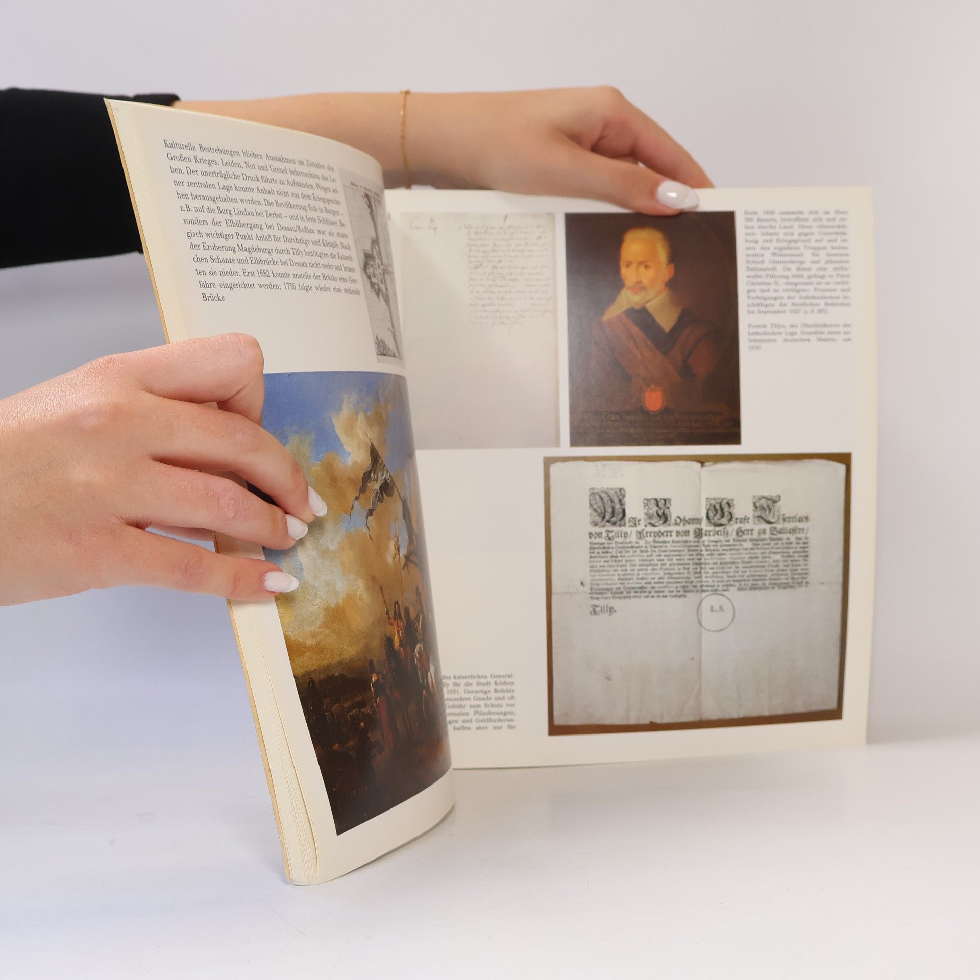 Anhaltische Schlösser in Geschichte und Kunst