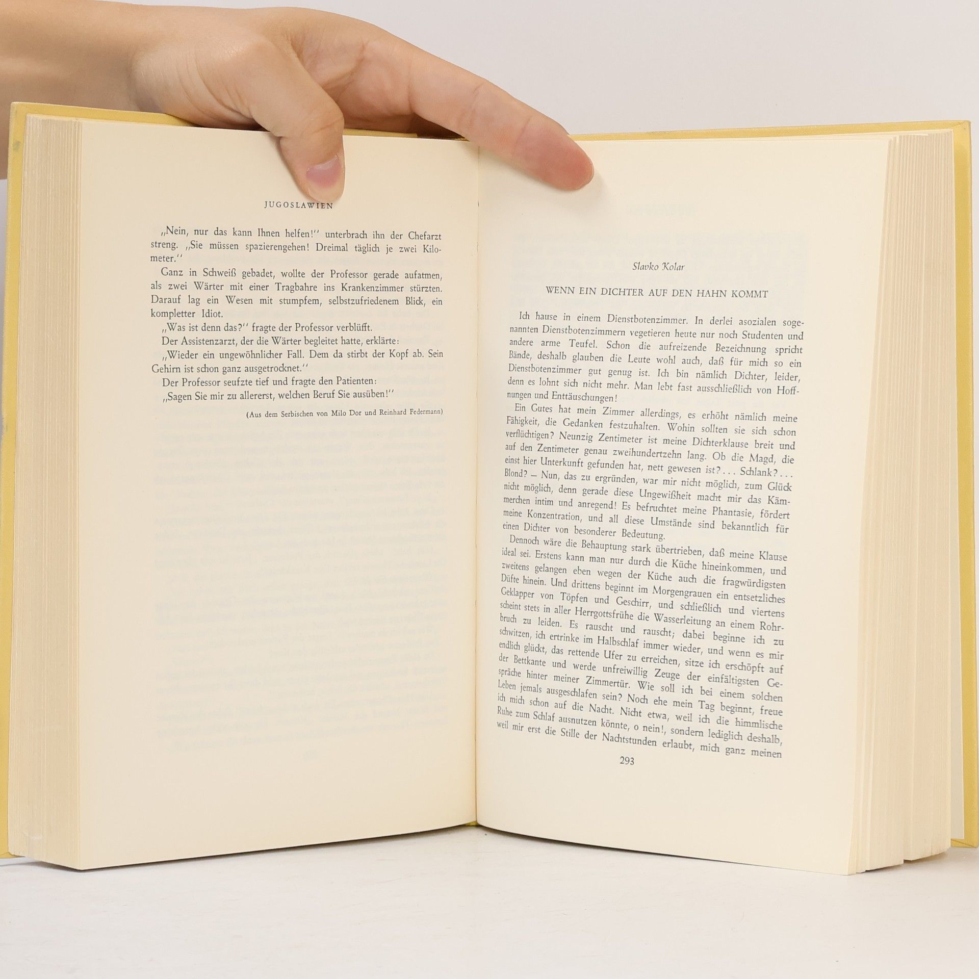 Various authors Die Reise zum wonnigen Fisch