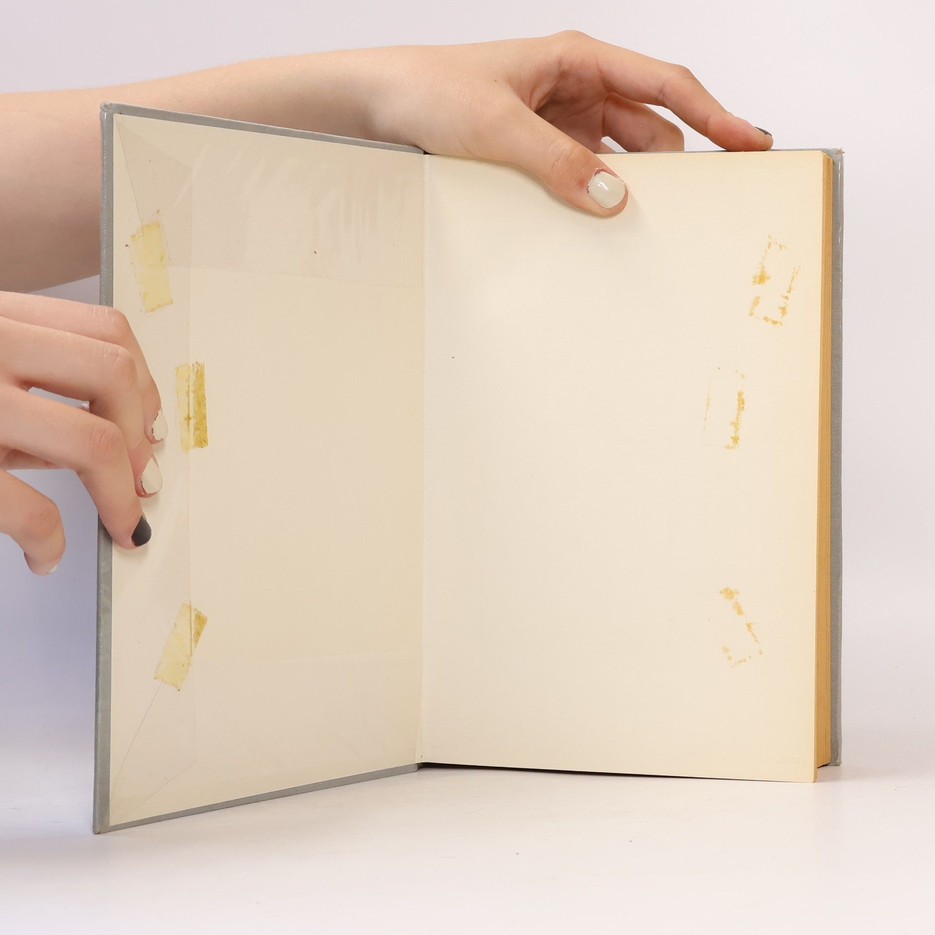 Johannes Hessen Lehrbuch der Philosophie