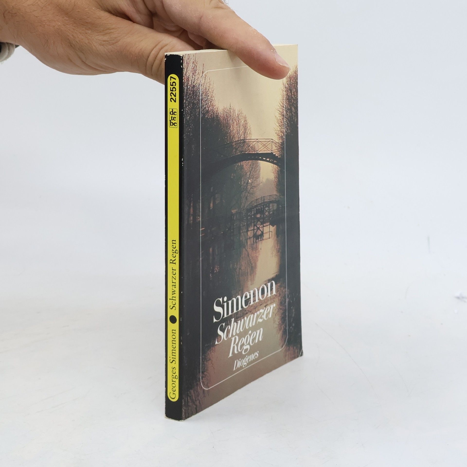 Georges Simenon detebe: Schwarzer Regen. Roman