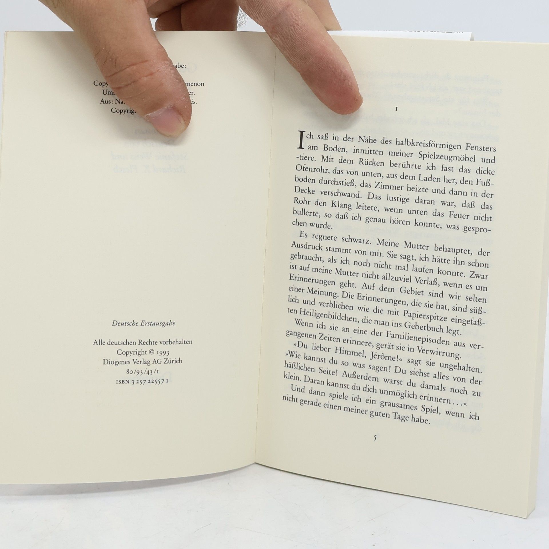 Georges Simenon detebe: Schwarzer Regen. Roman