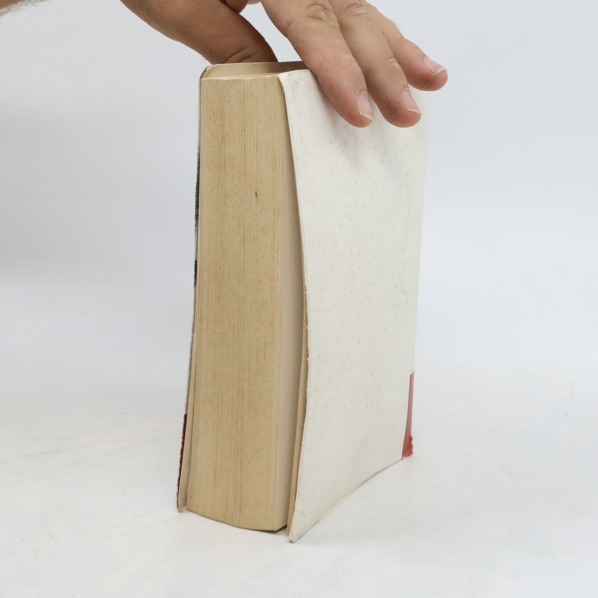 Pierre Dufoyer Eheleben: Das Buch für Ehemänner