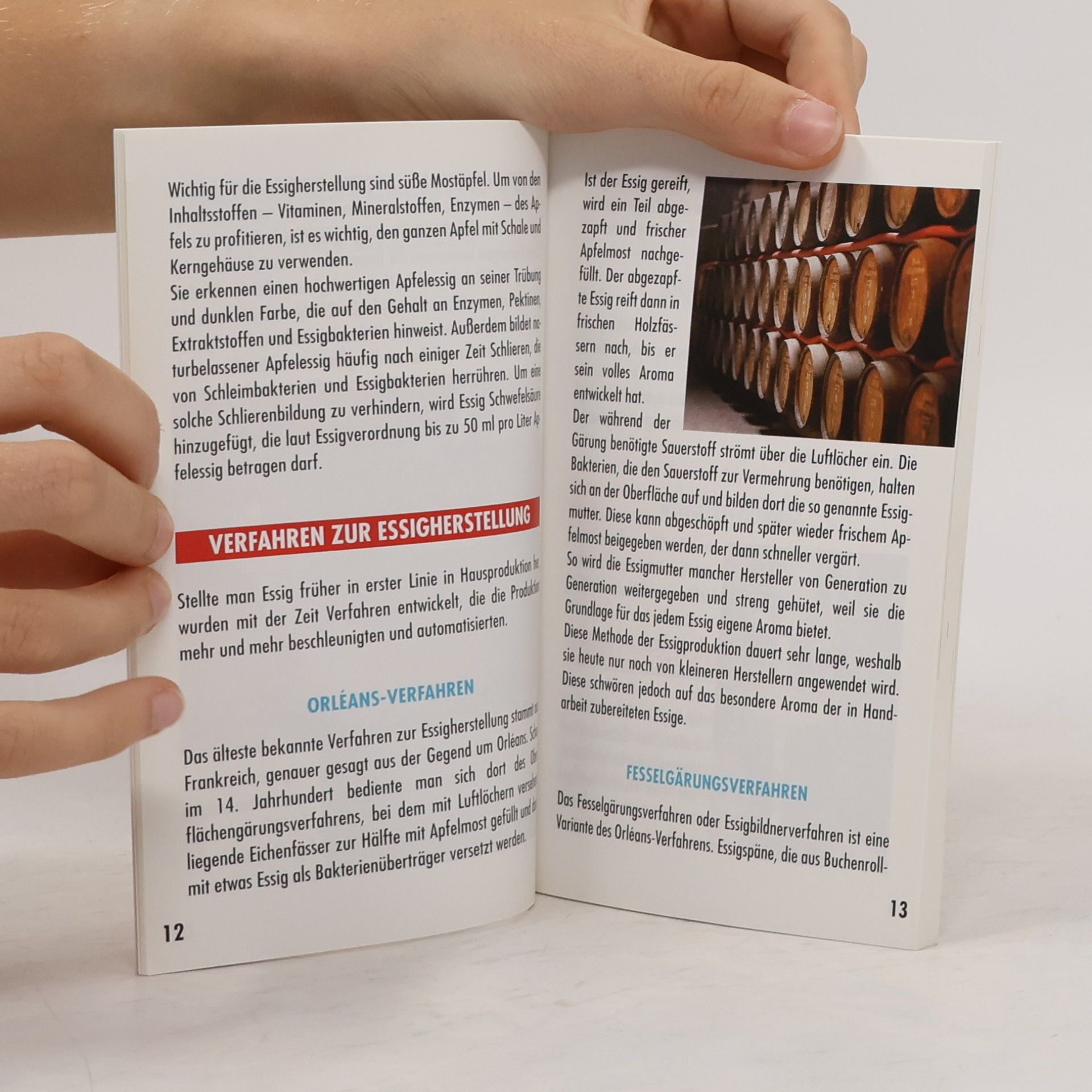 Autorenkollektiv Apfelessigfibel. Heilen, Pflegen und Vorbeugen.
