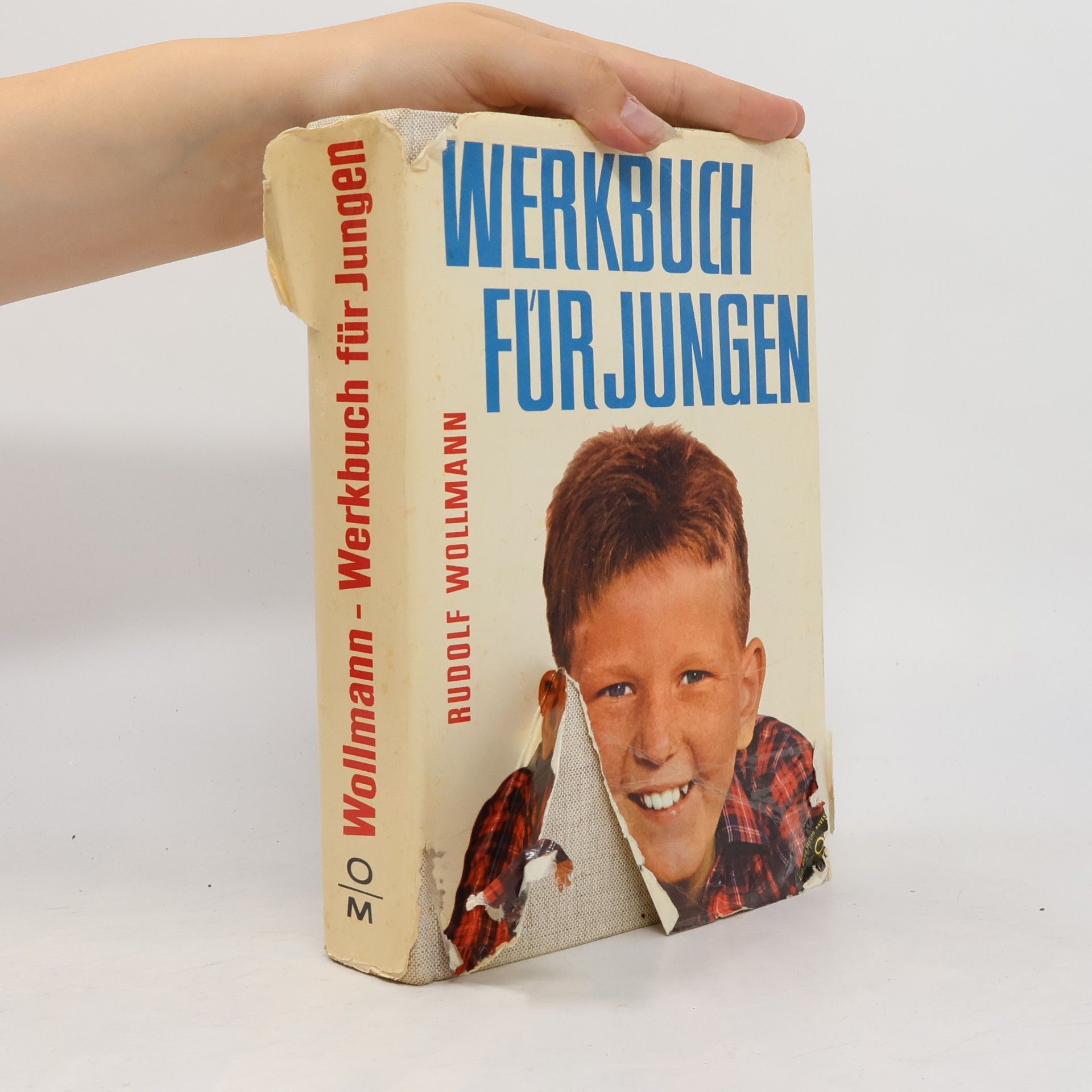 Rudolf Wollmann Werkbuch für Jungen