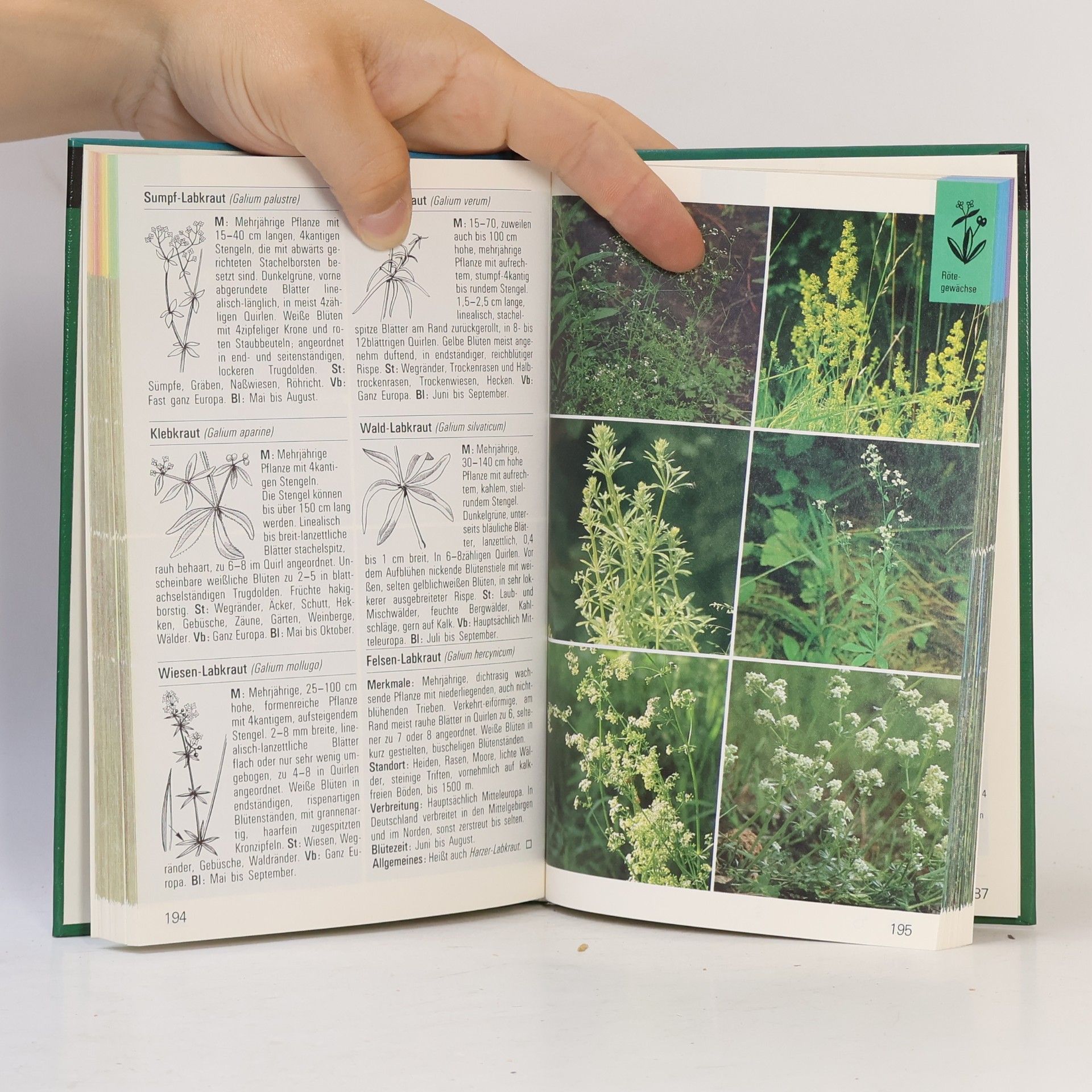 Autorenkollektiv Wildblumen