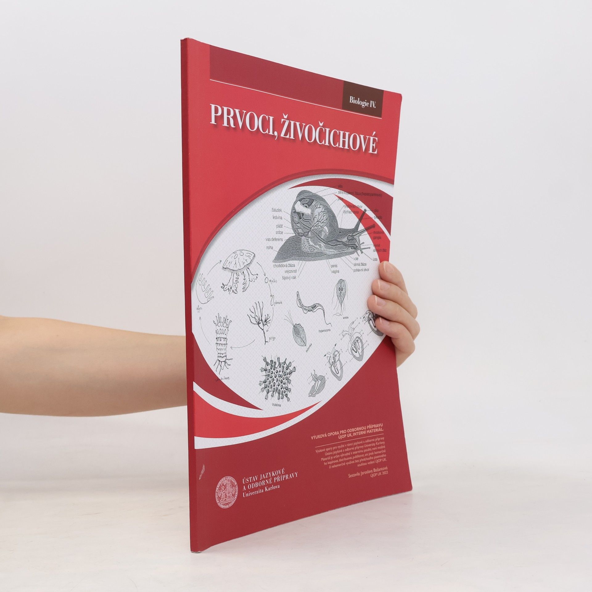 Jaroslava Bažantová Biologie IV
