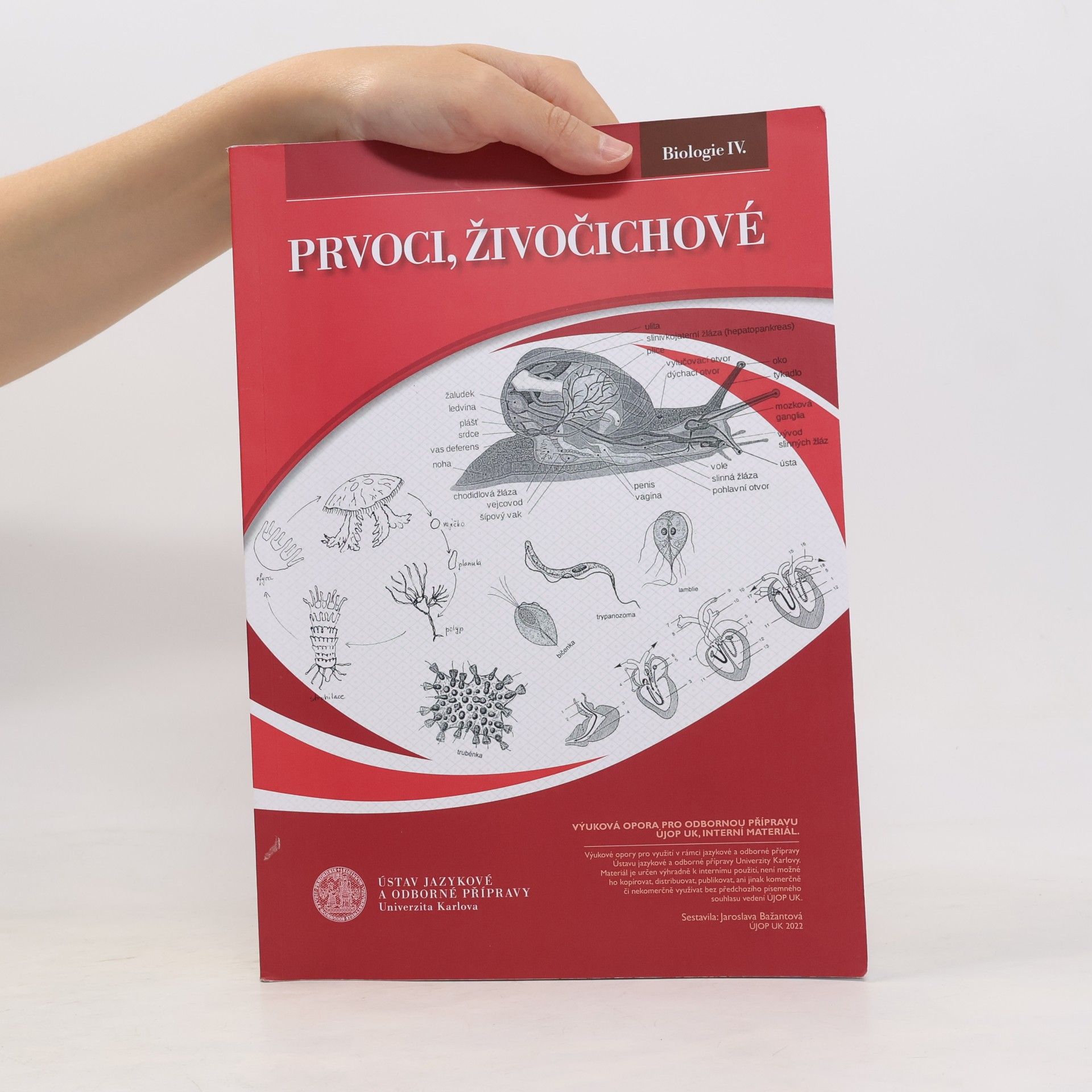 Jaroslava Bažantová Biologie IV