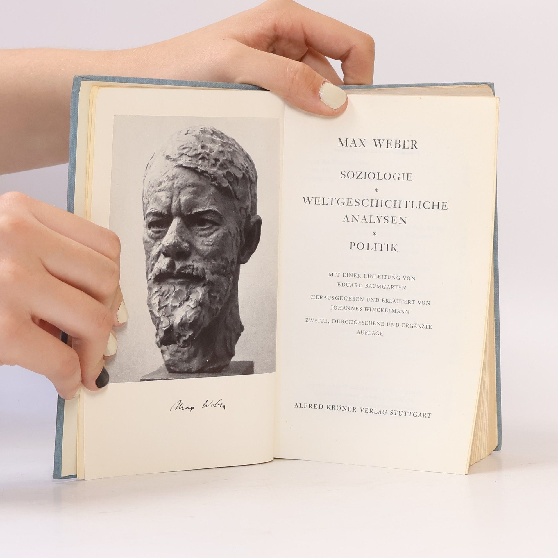 Max Weber Soziologie, Weltgeschichtliche Analysen, Politik