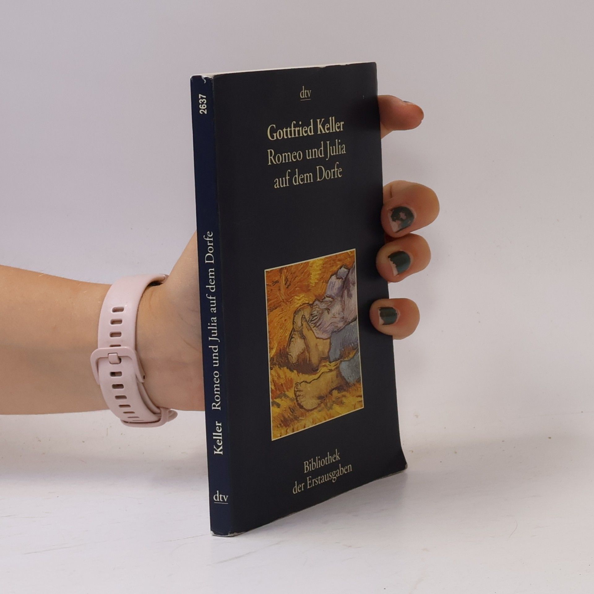 Gottfried Keller Romeo und Julia auf dem Dorfe