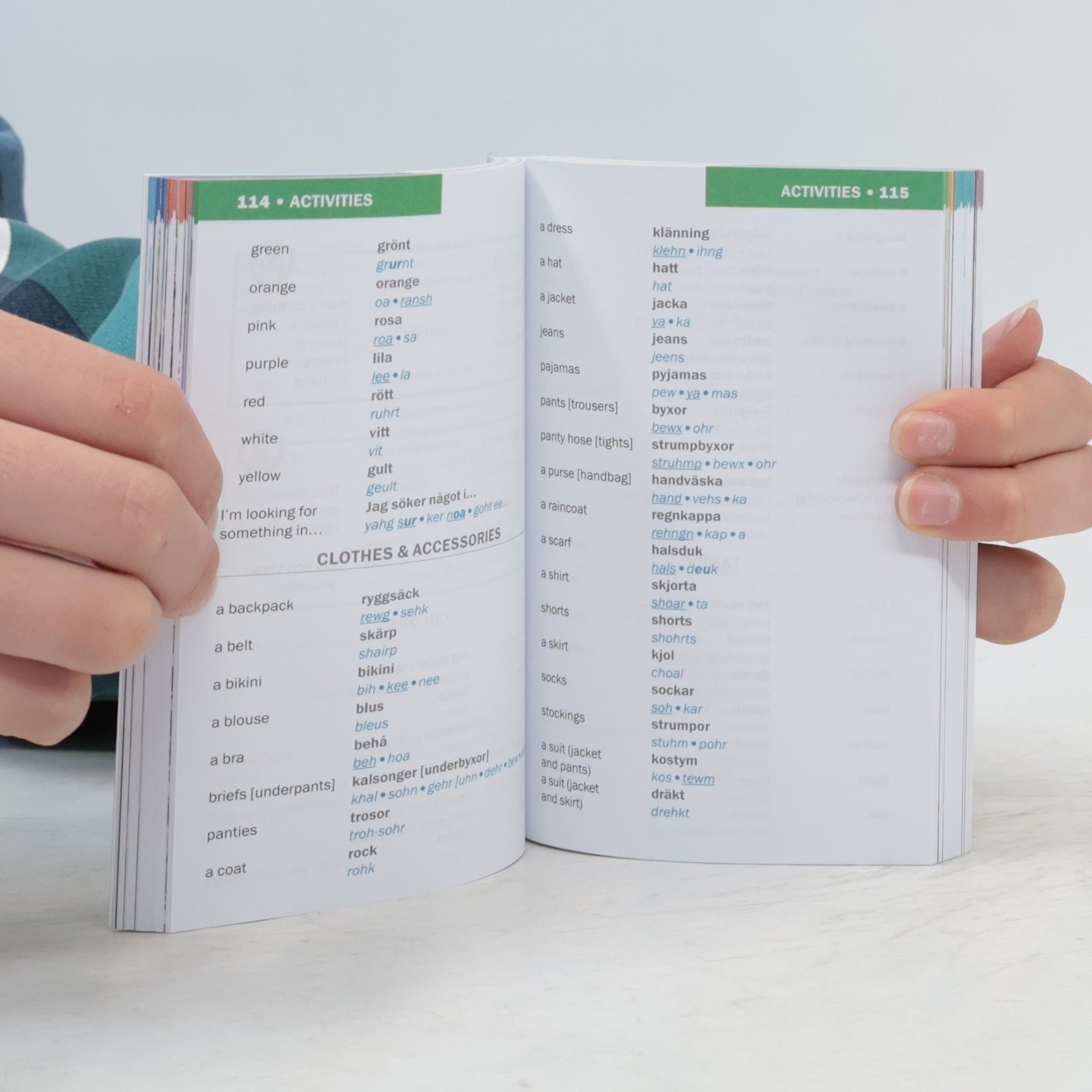 Insight Guides Insight Guides Phrasebooks: Swedish