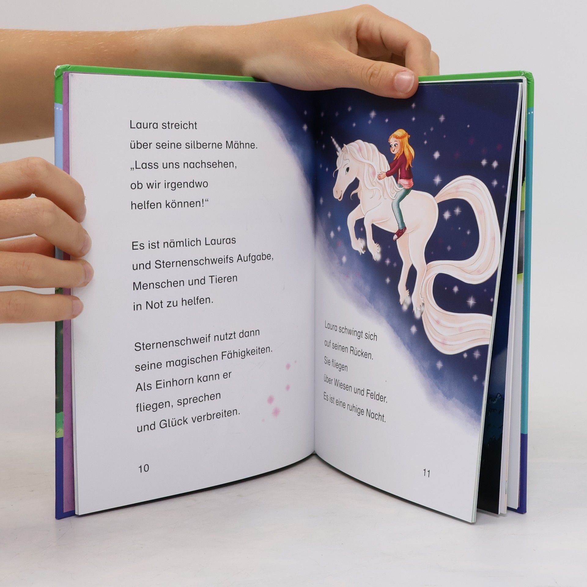 Linda Champan Sternenschweif, Bücherhelden 1. Klasse, Ferien auf dem Reiterhof