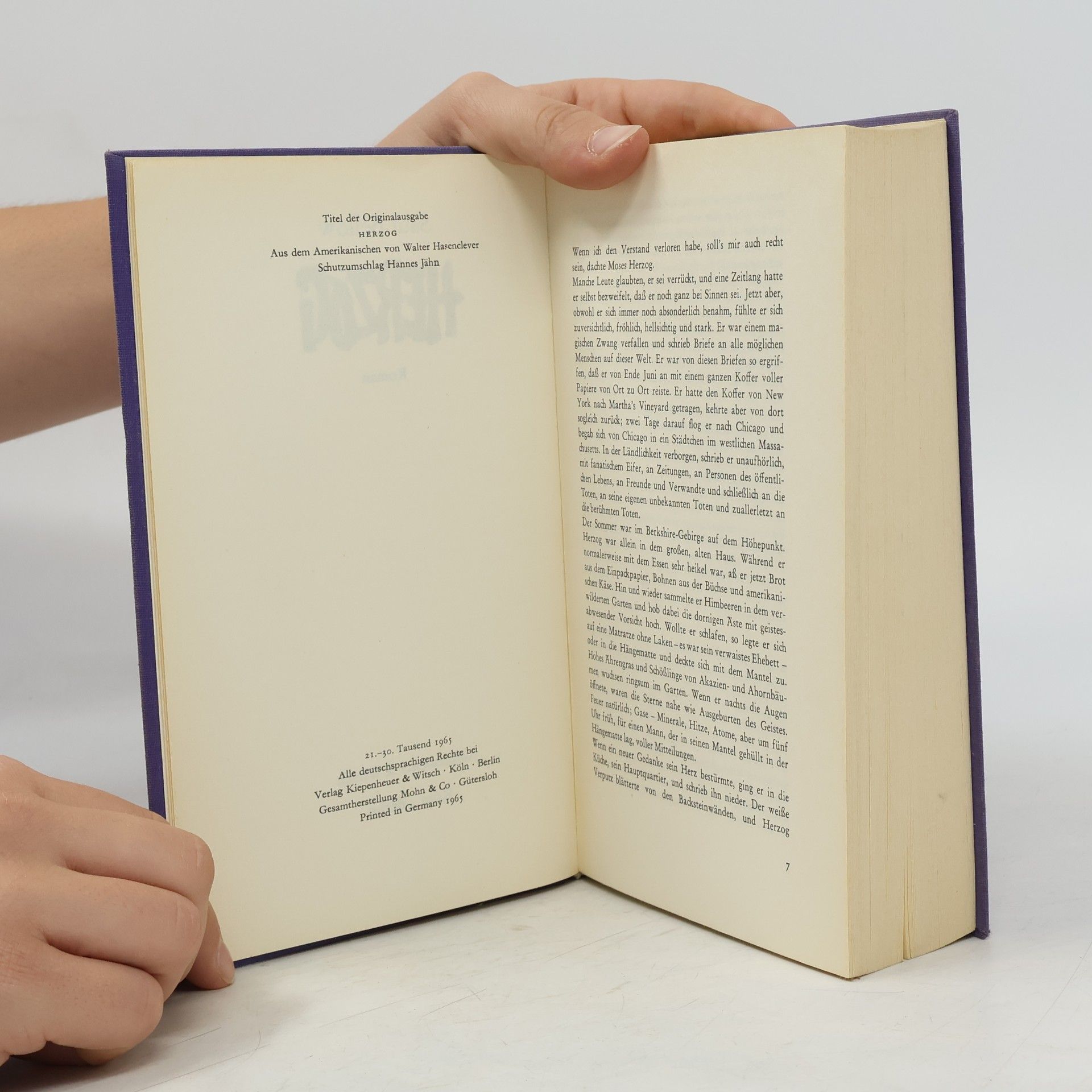 Saul Bellow Herzog