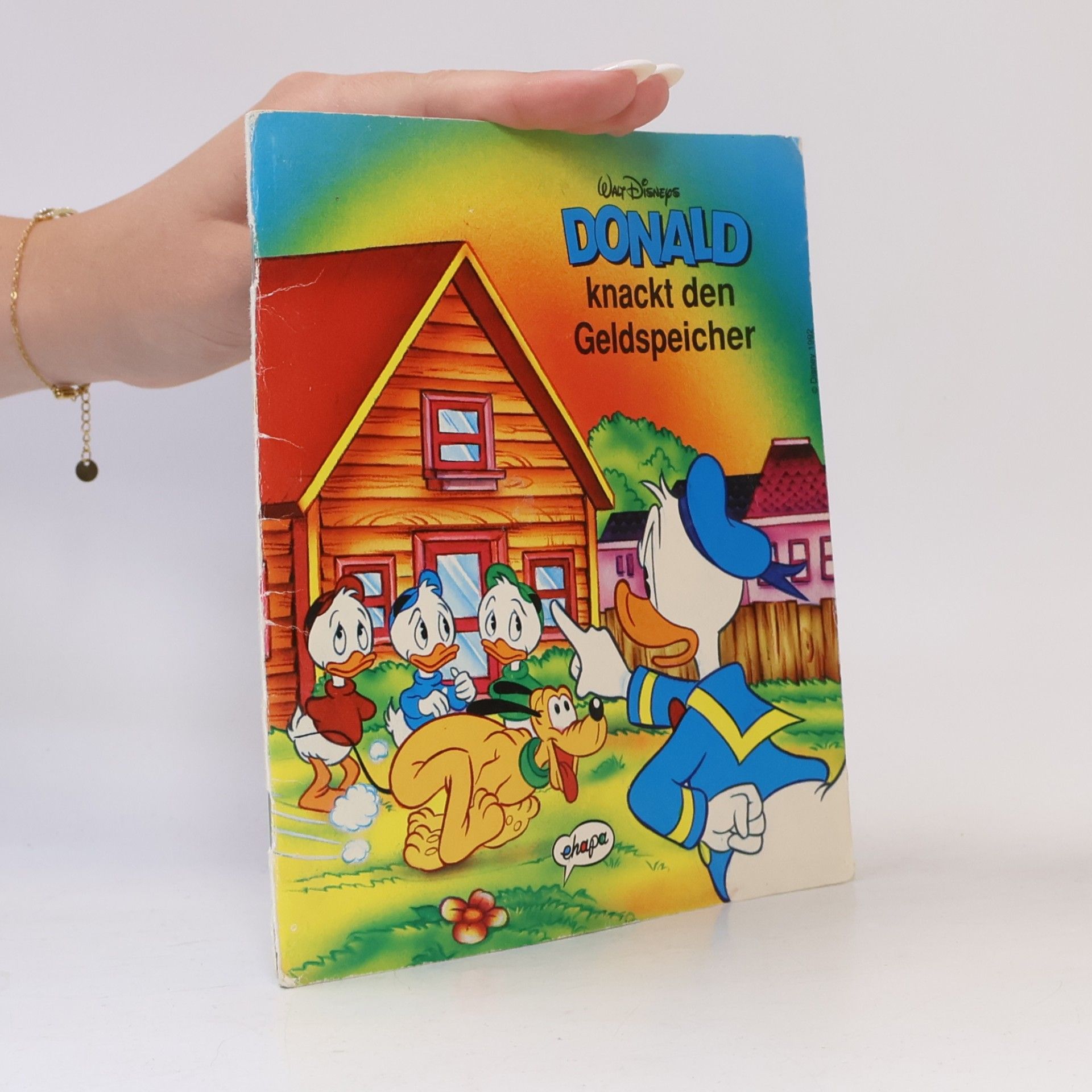 kolektiv Donald knackt den geldspeicher