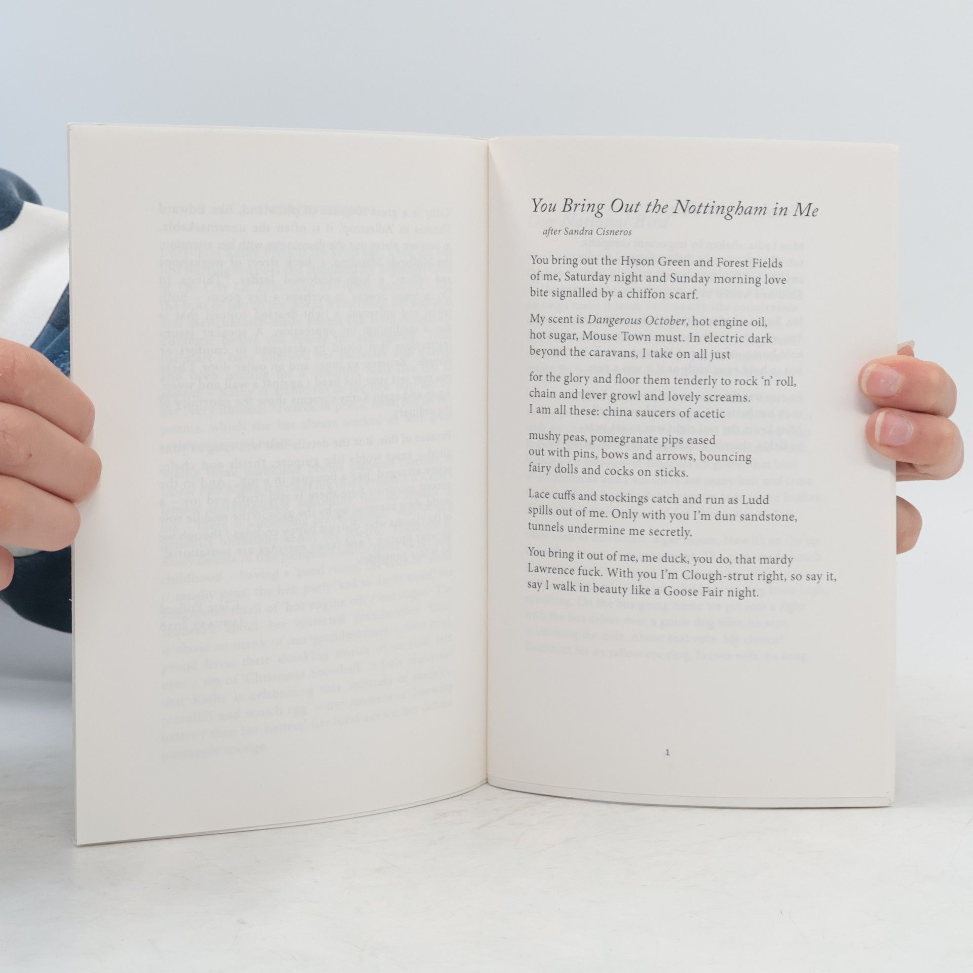 Kathy Pimlott The Emma Press Pamphlets - 7: Goose Fair Night