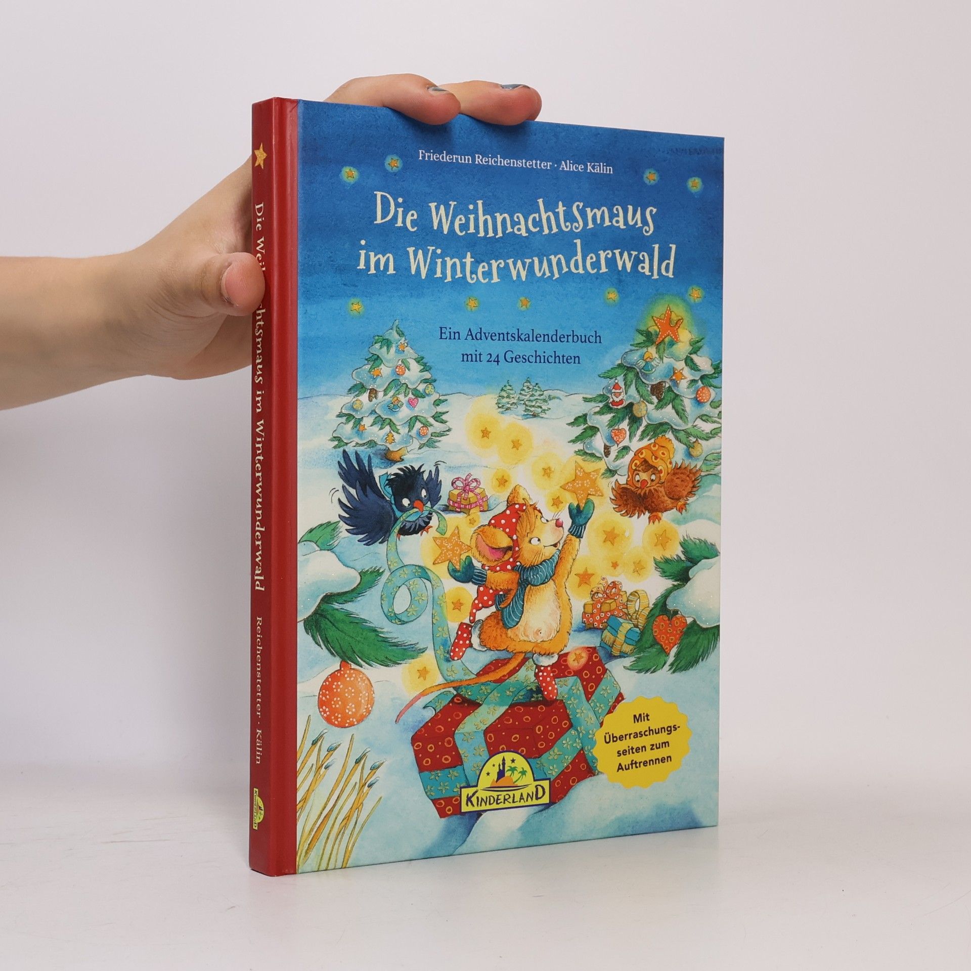 Friederun Reichenstetter Die Weihnachtsmaus im Winterwunderwald