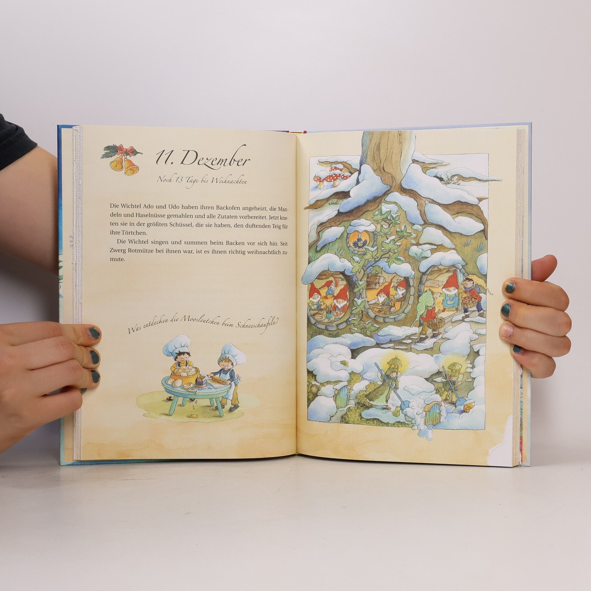 Friederun Reichenstetter Die Weihnachtsmaus im Winterwunderwald