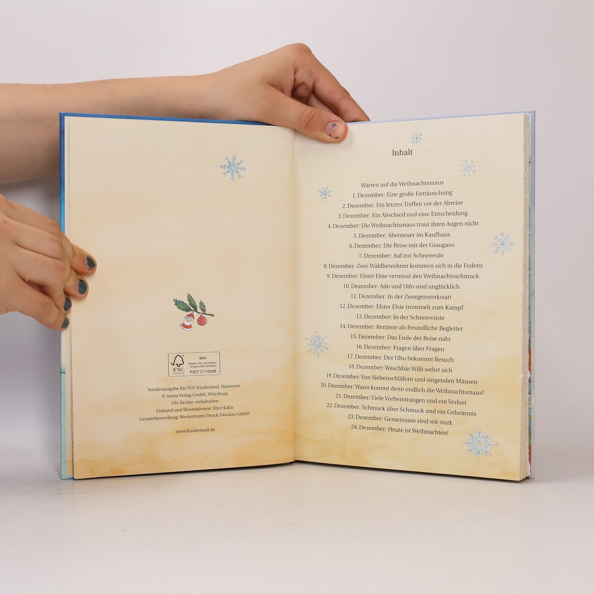 Friederun Reichenstetter Die Weihnachtsmaus im Winterwunderwald