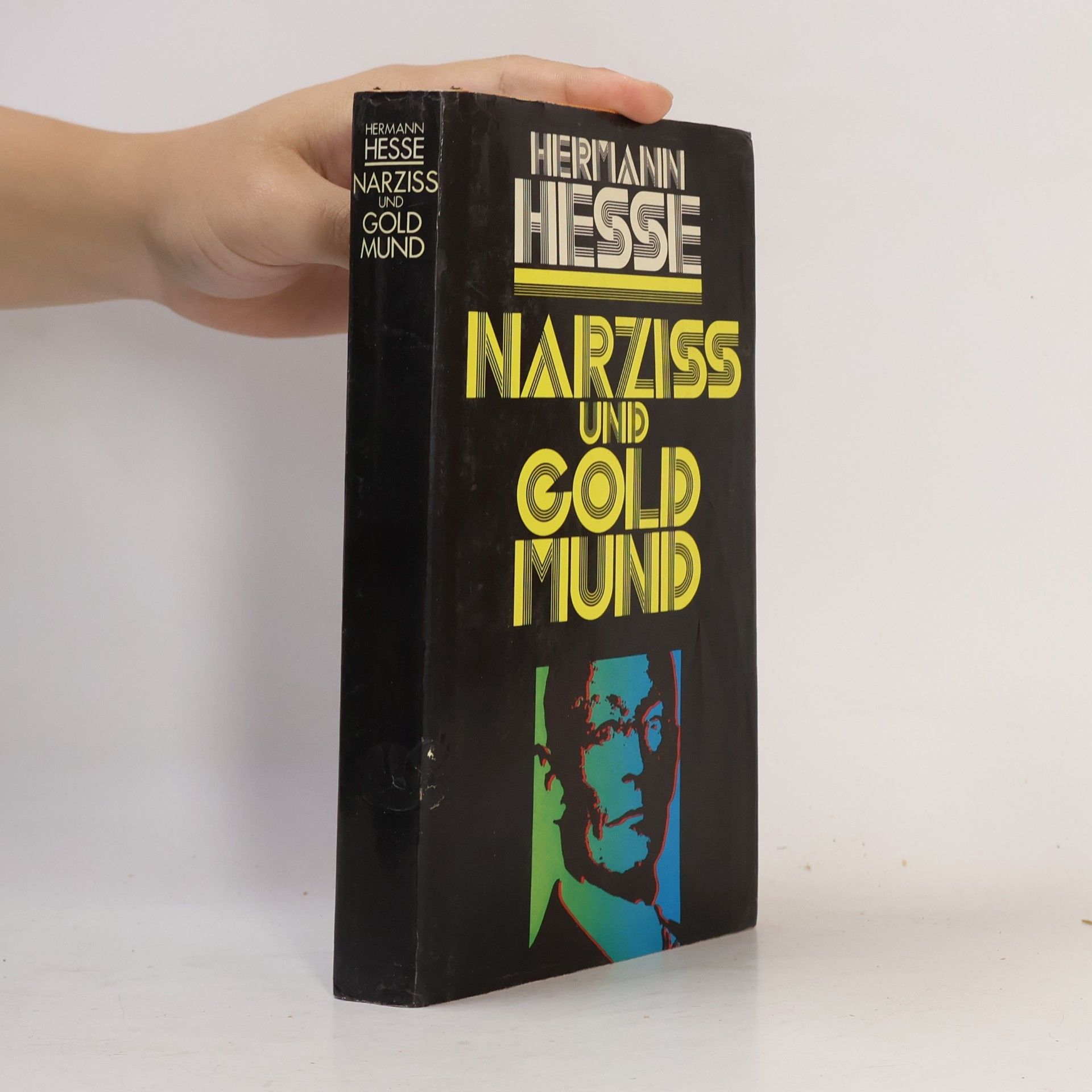 Hermann Hesse Narziss und Goldmund