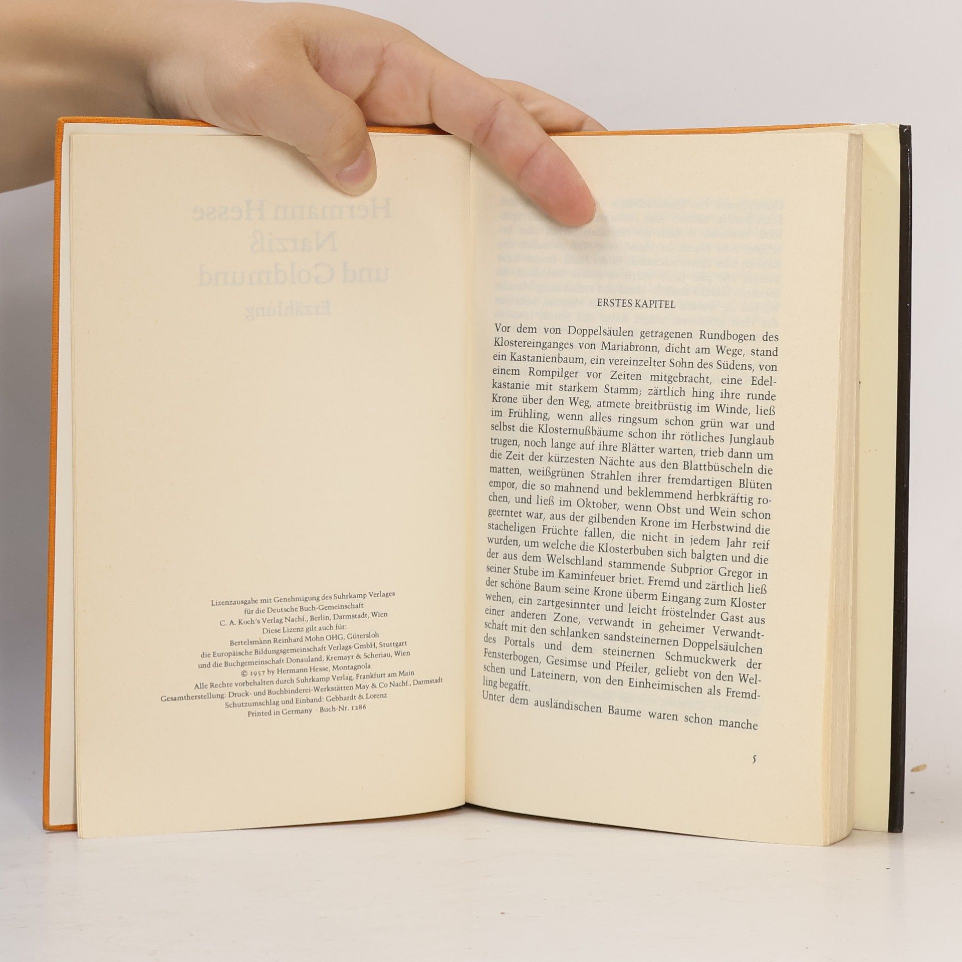 Hermann Hesse Narziss und Goldmund