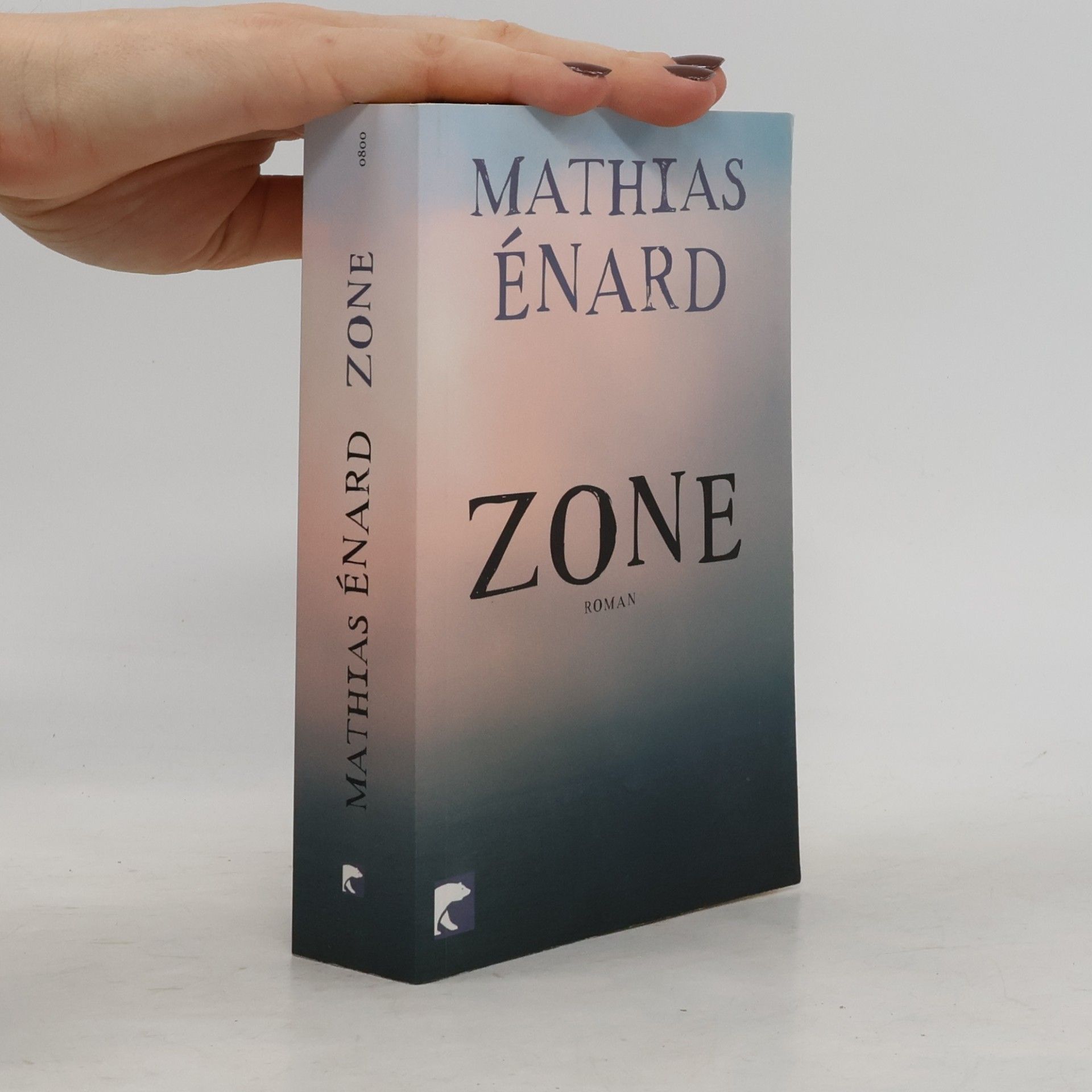 Mathias Énard Zone