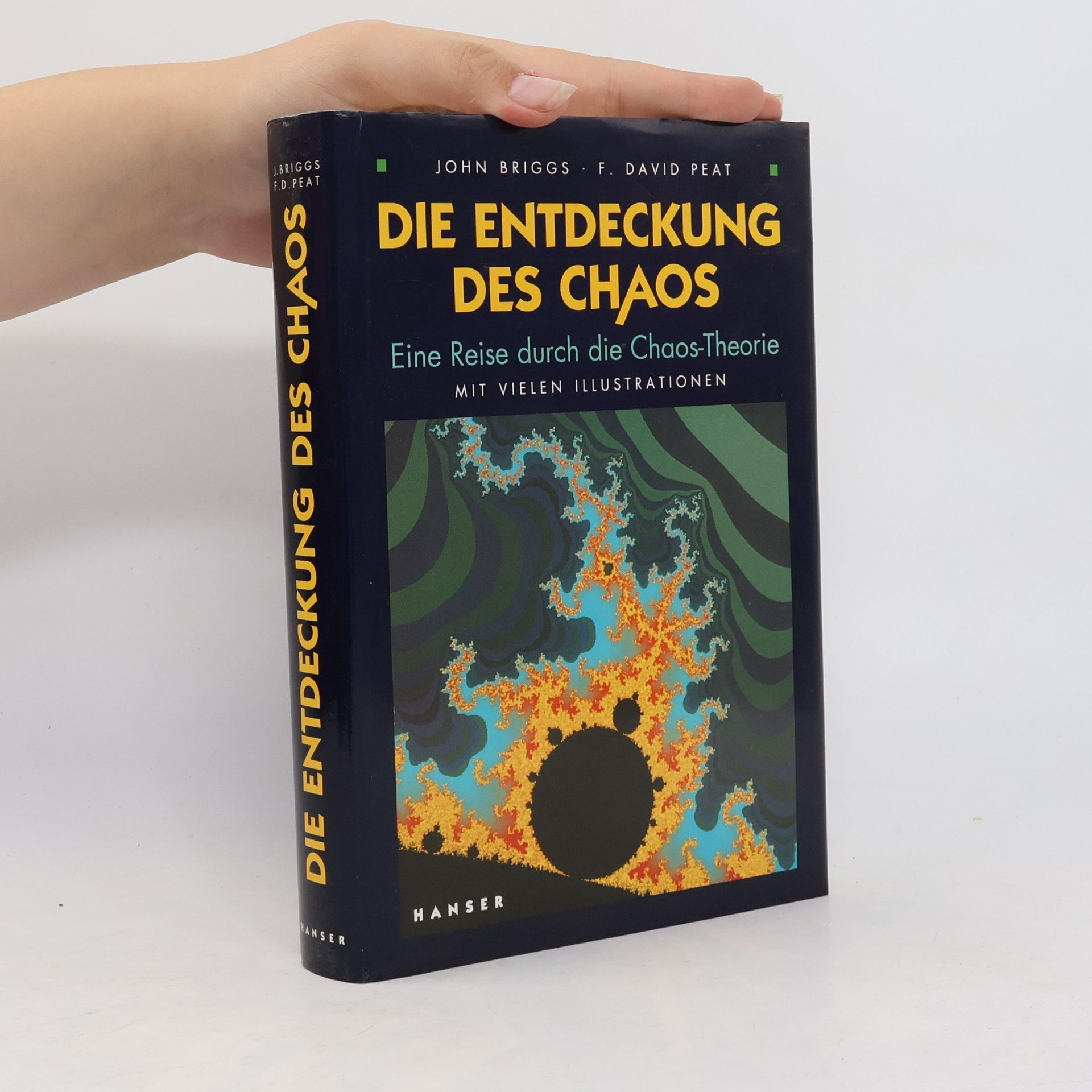 John P. Briggs Die Entdeckung des Chaos