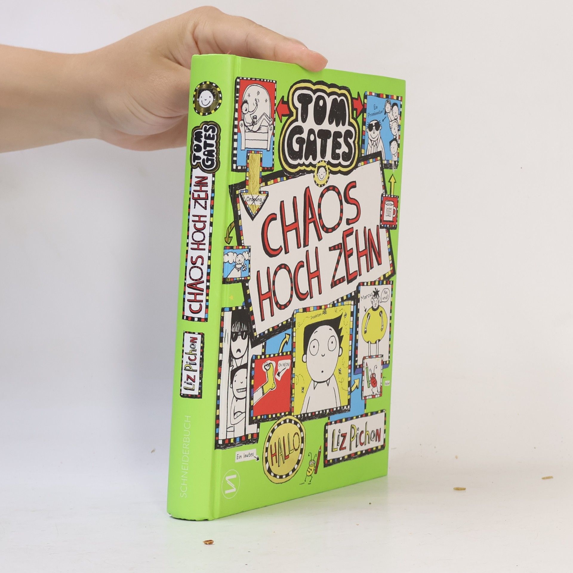 Liz Pichon Chaos hoch zehn