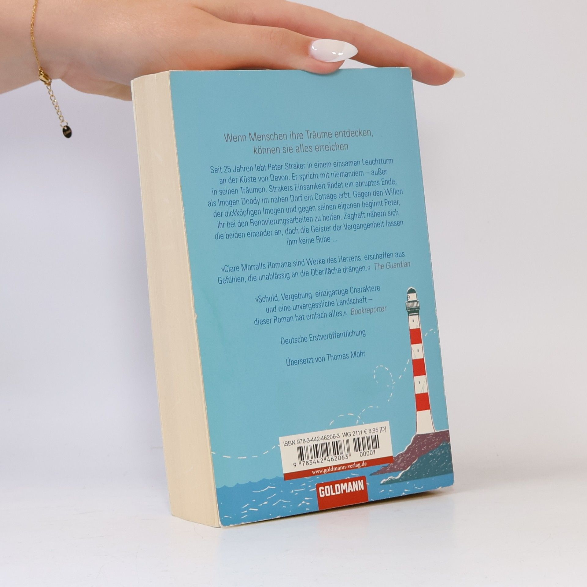 Clare Morrall Der Mann, der aus den Wolken fiel