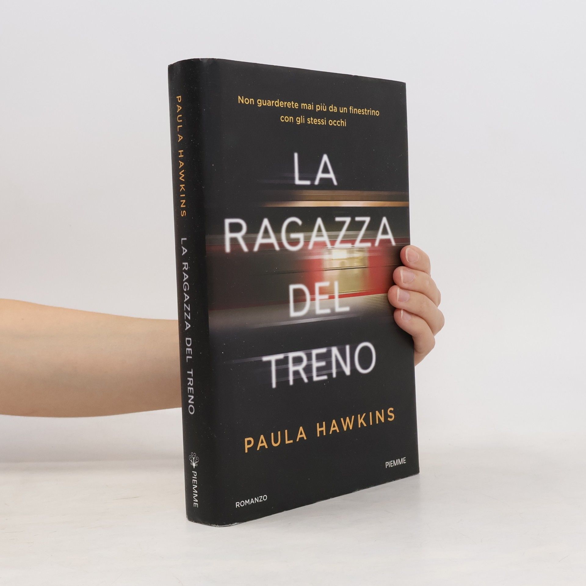 La ragazza del treno