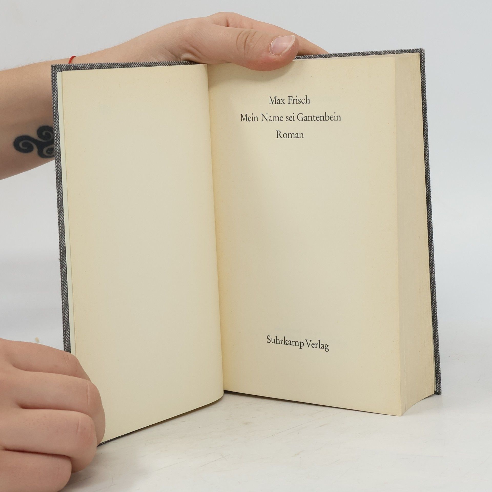 Max Frisch Meine Name sei Gantenbein