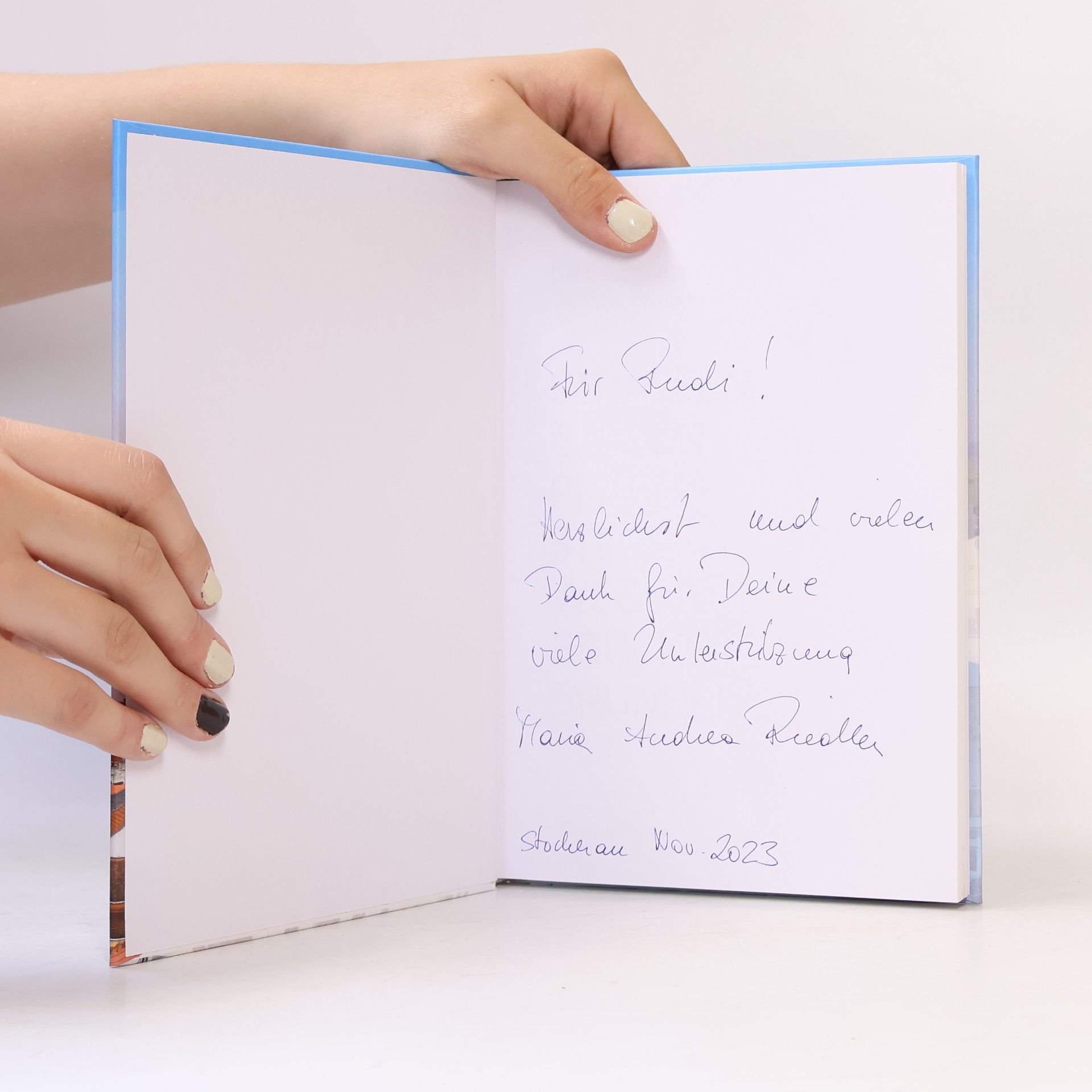Maria-Andrea Riedler Die Geschichte von Stockerau in Strassen, Gassen, Plätze, Stege, Wege, Brücken, Brunnen