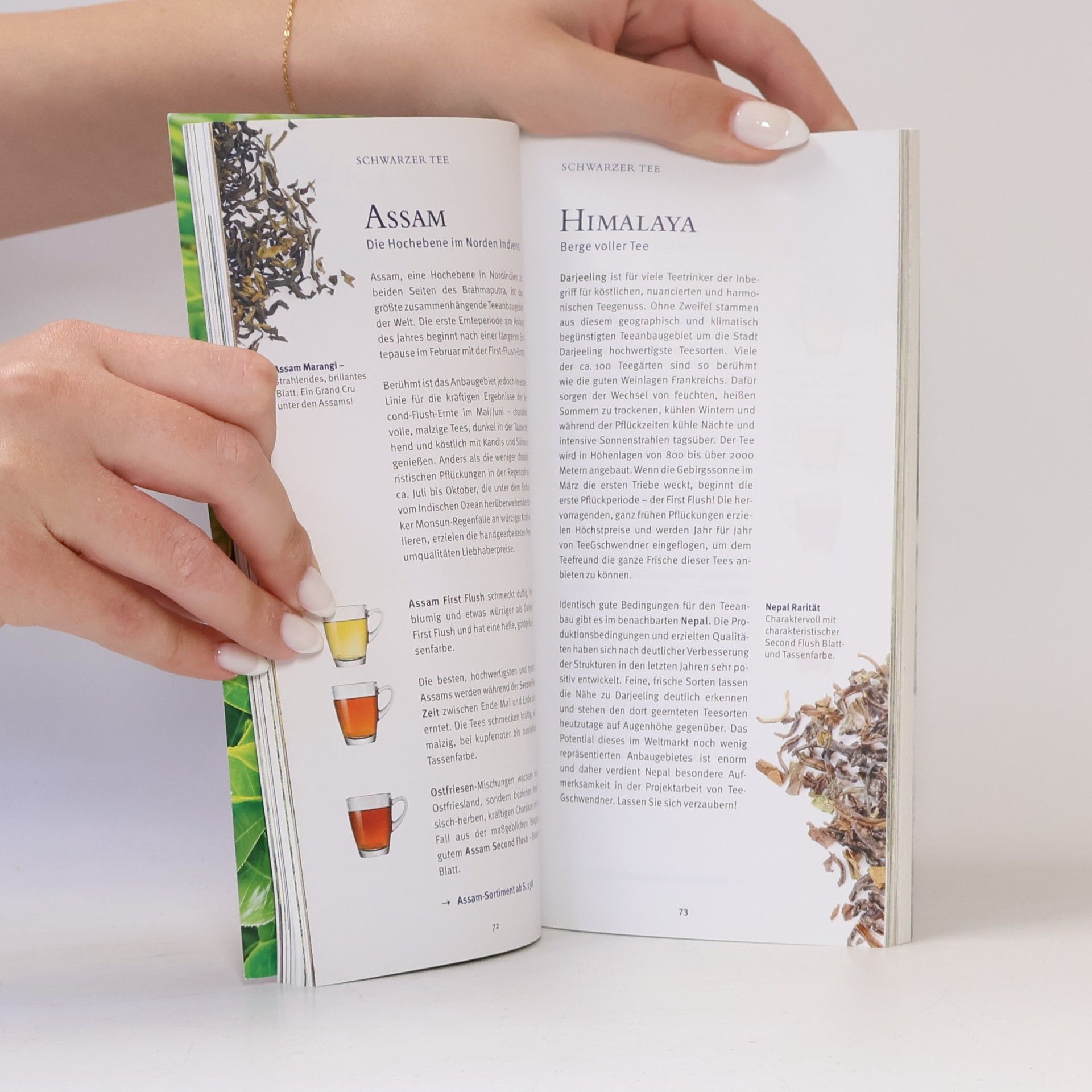 Autorenkollektiv Teebuch Ausgabe 65