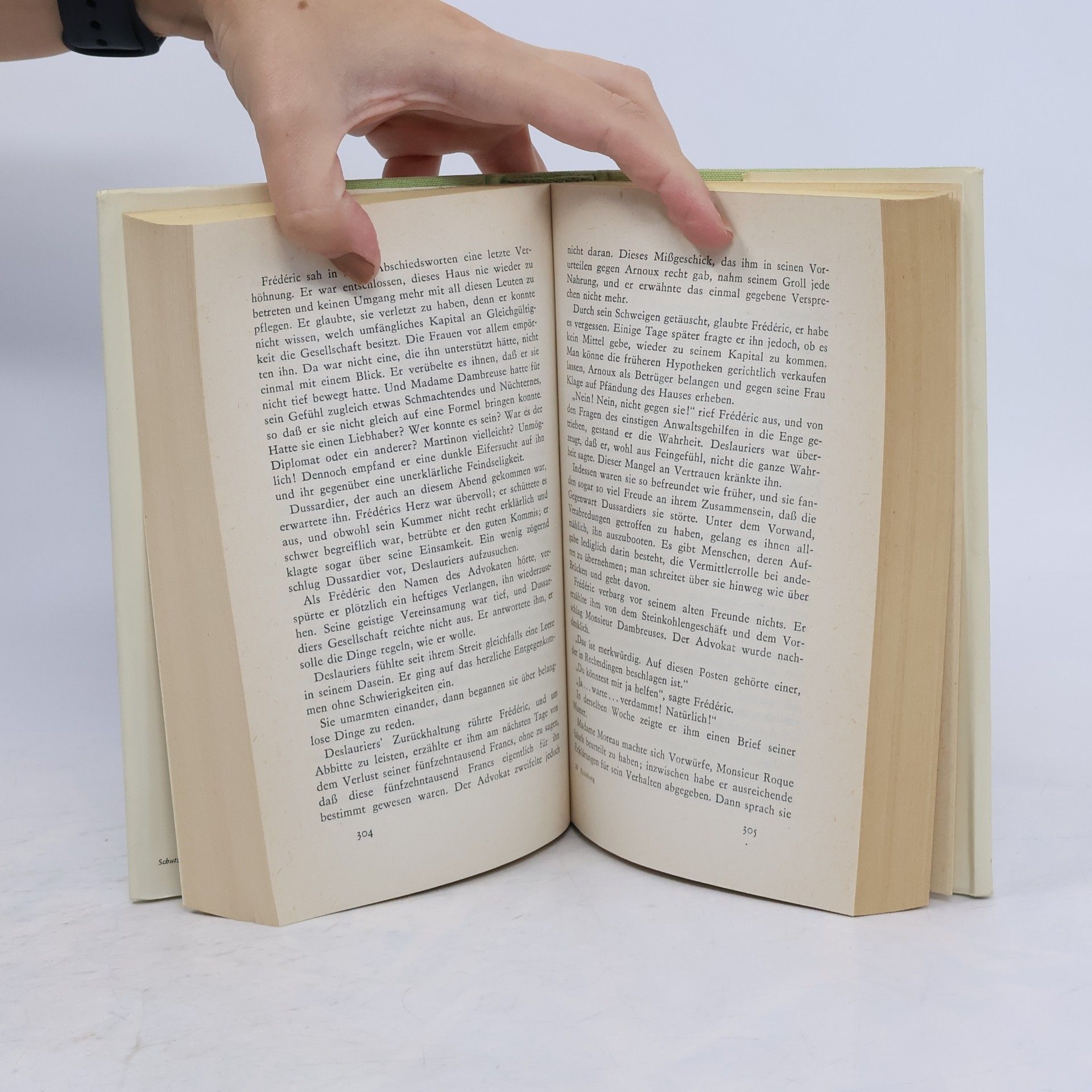 Gustave Flaubert Die Erziehung der Gefühle