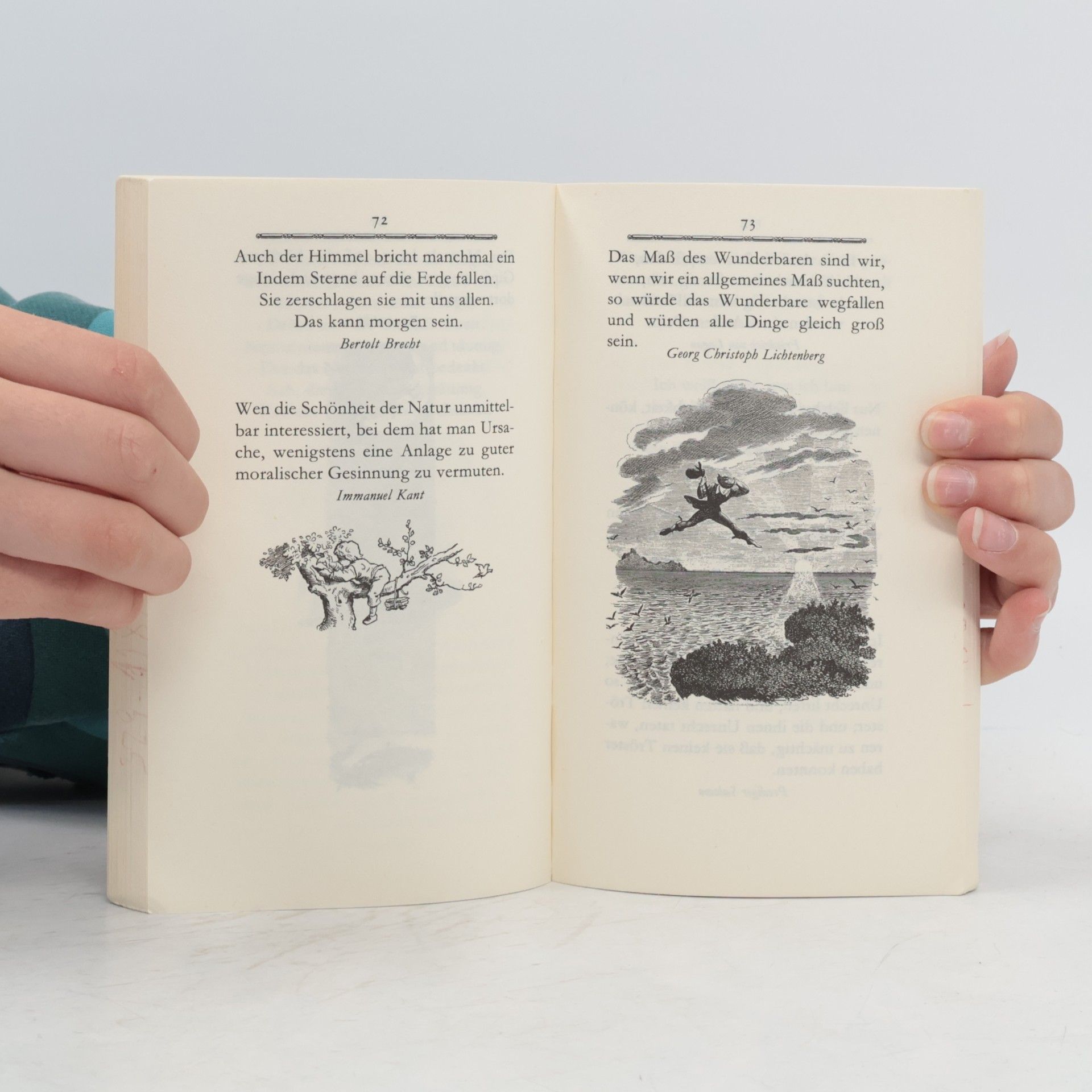 Elisabeth Borchers Das Poesiealbum
