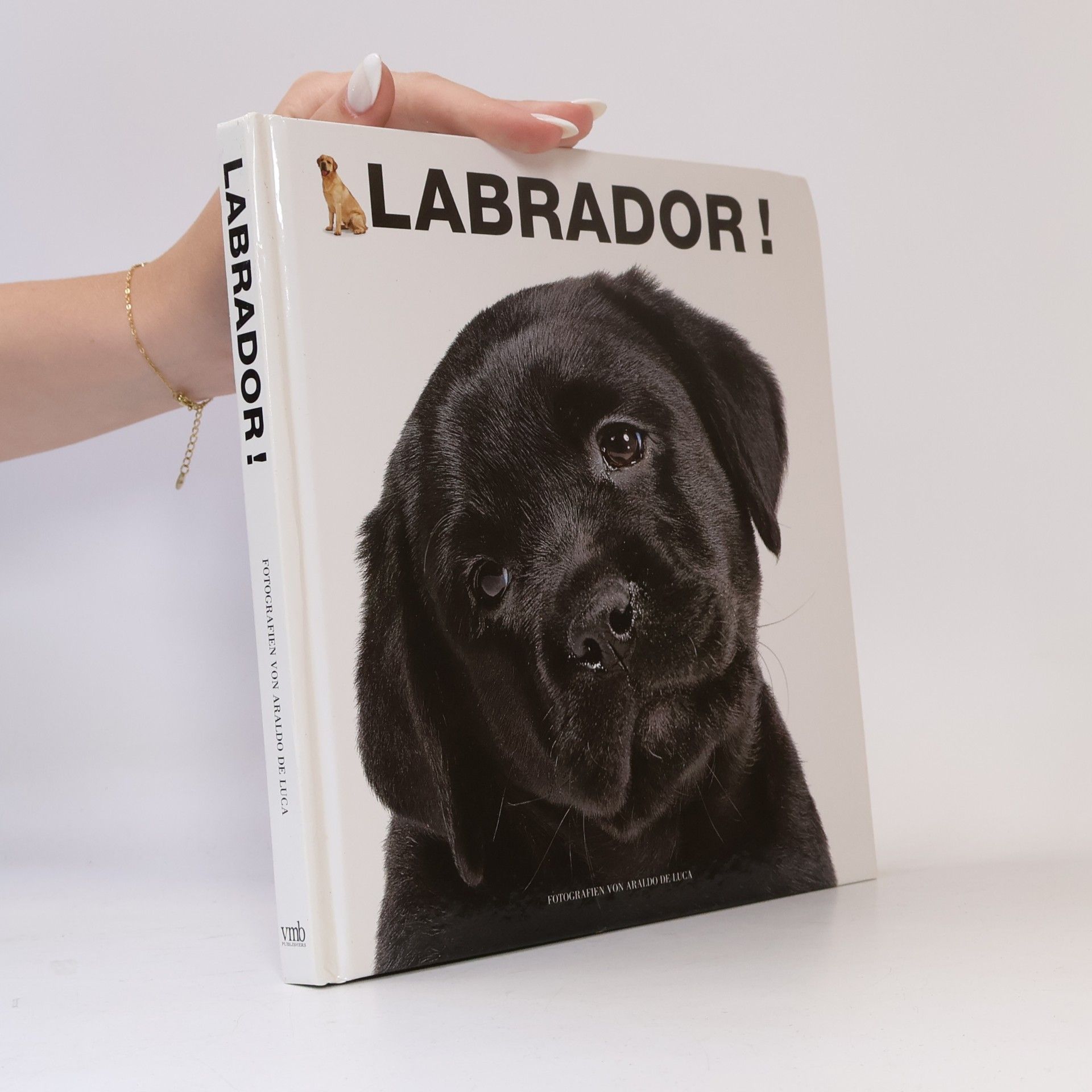 Araldo De Luca Labrador!