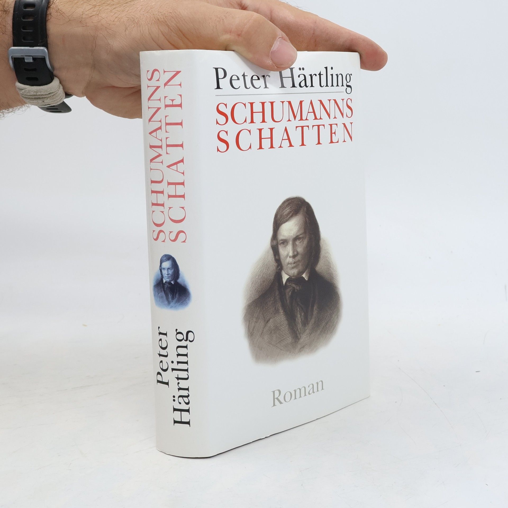 Peter Härtling Schumanns Schatten